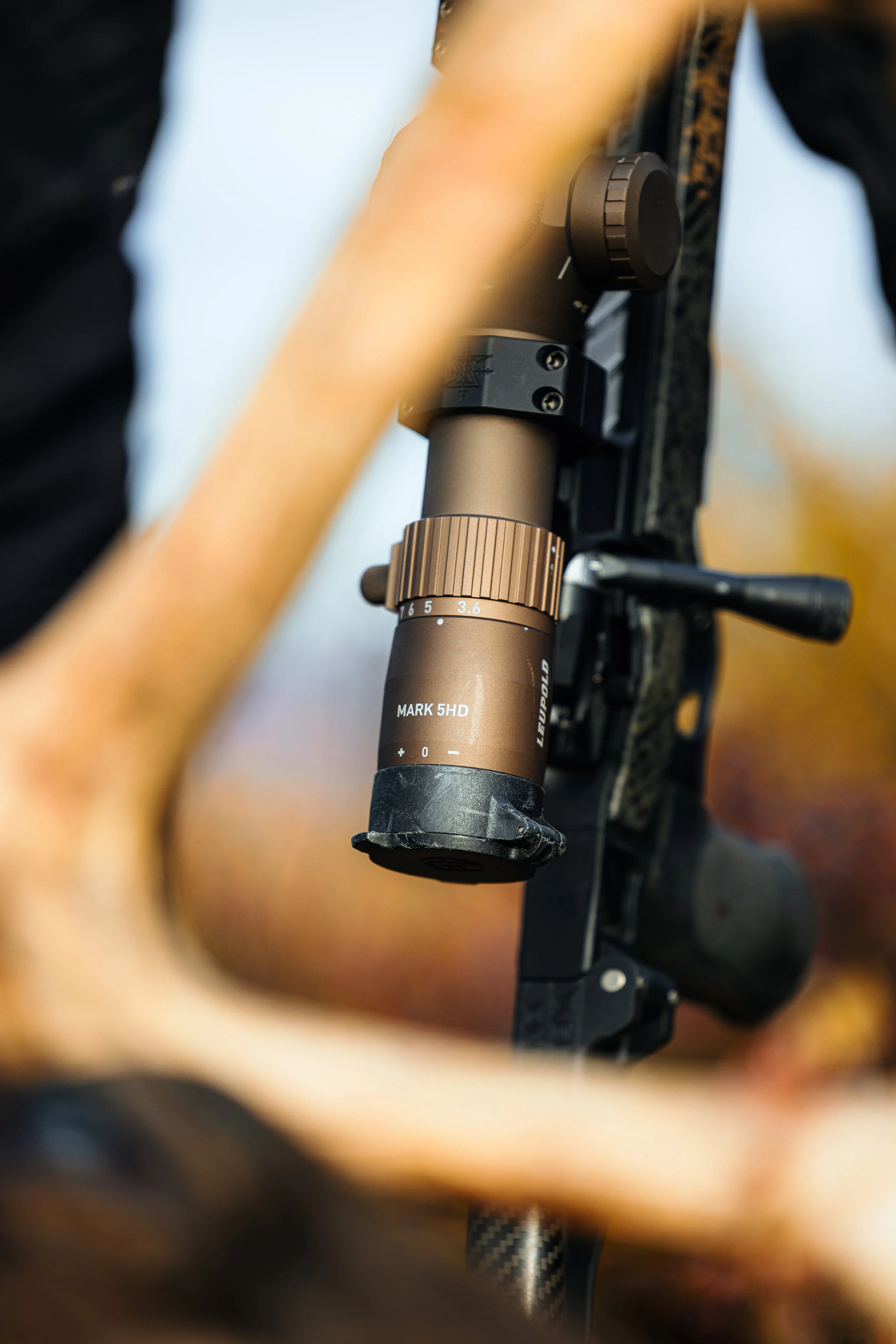 Alaska Caribou-402.jpeg