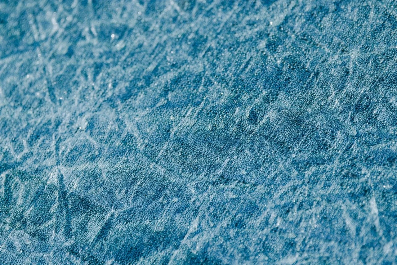 Alaska Caribou-637 Large.jpeg