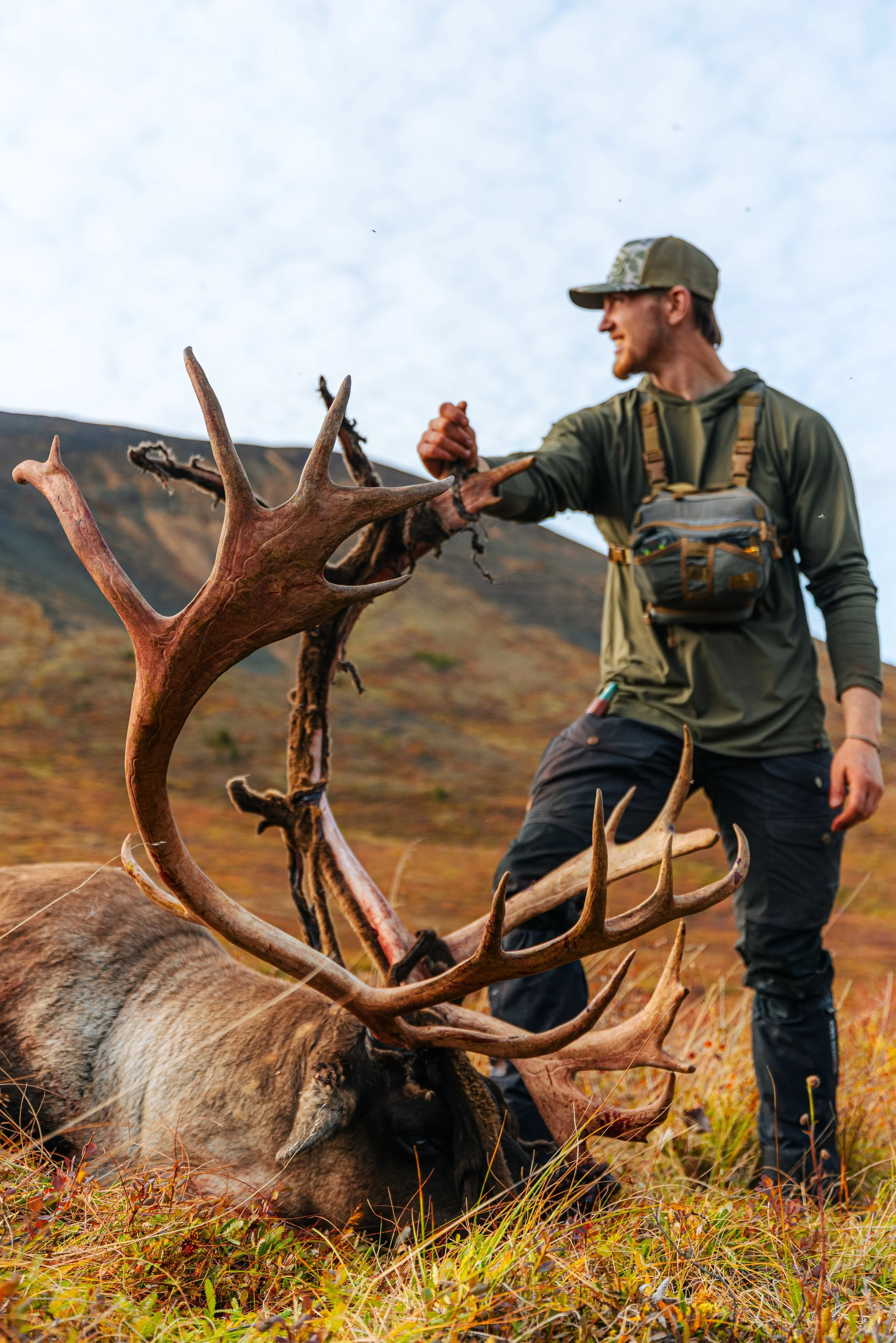 Alaska Caribou-551.jpeg