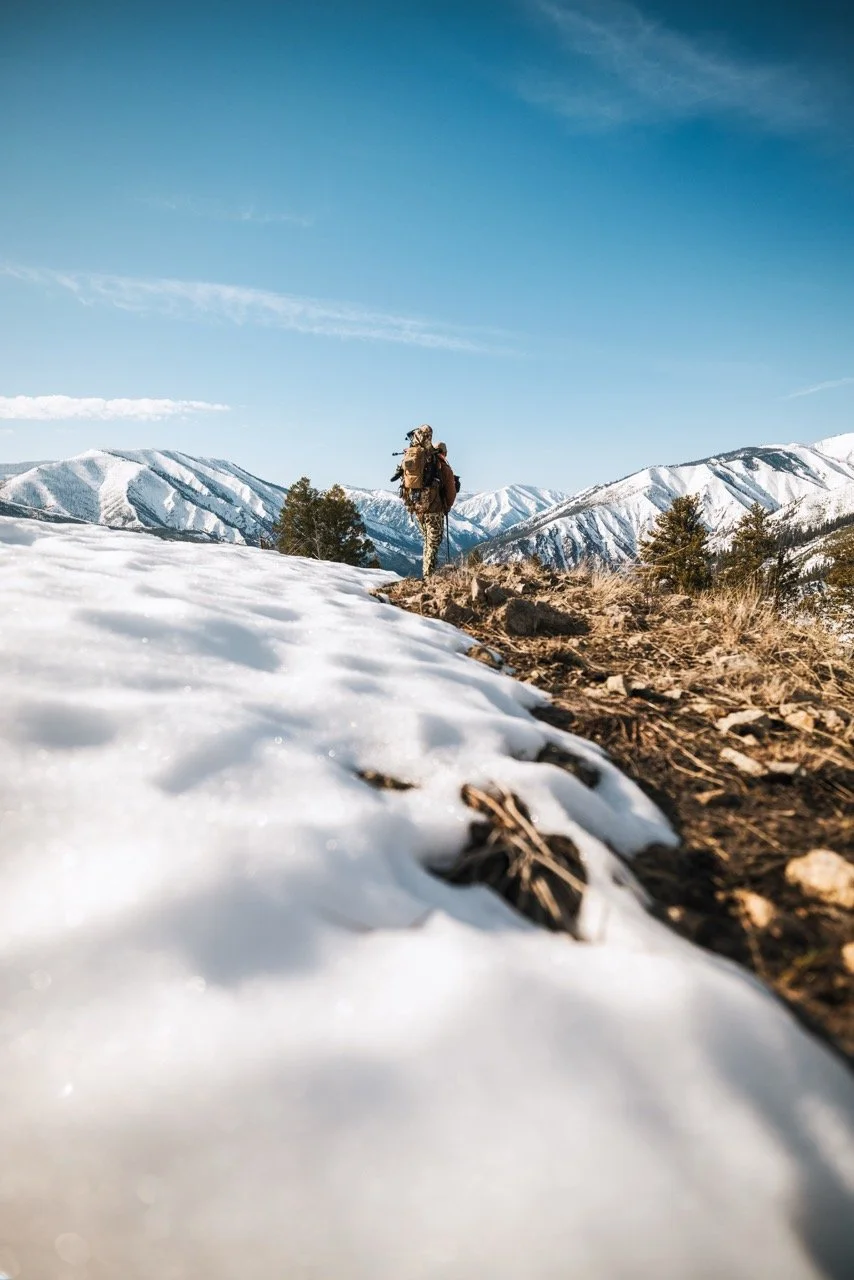 Idaho bear hunt-70 Large.jpeg