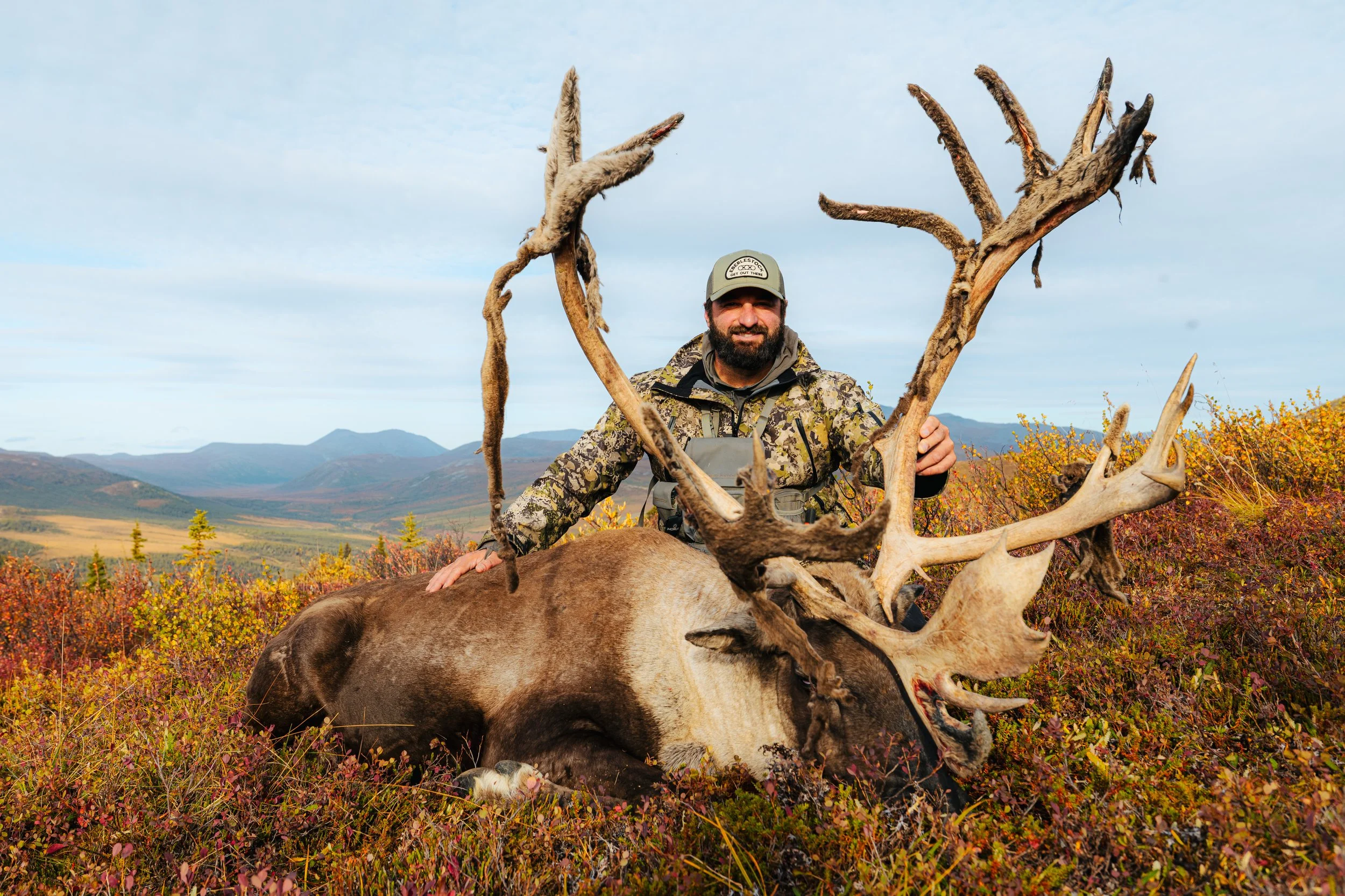 Alaska Caribou-439.jpeg