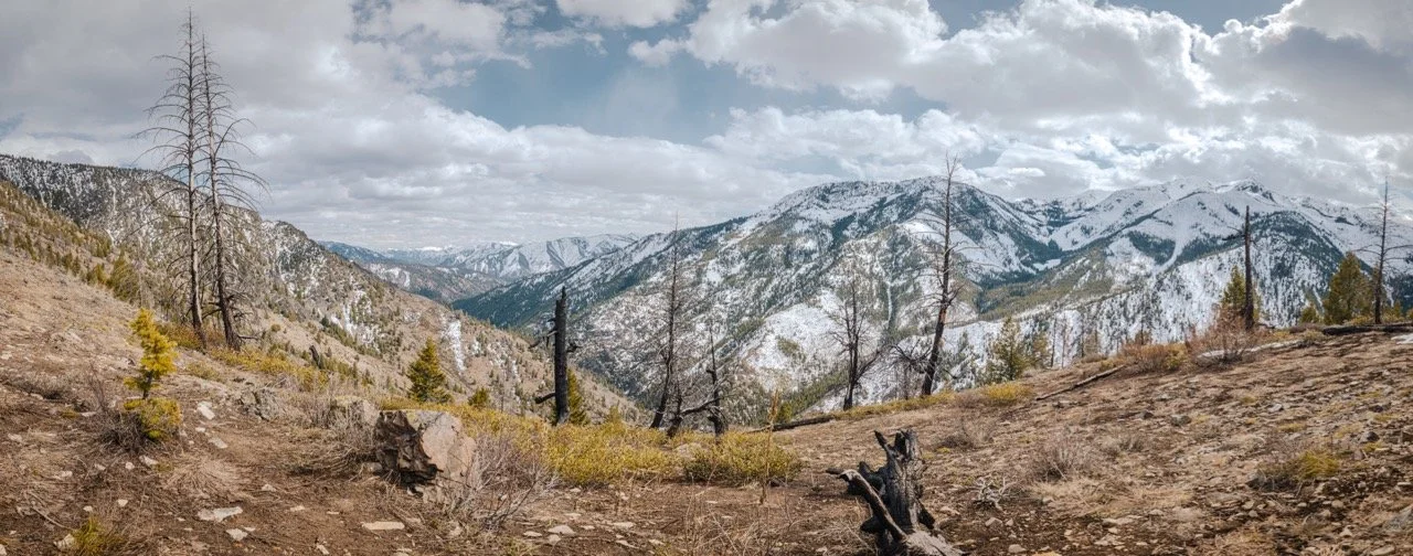 Idaho bear hunt-147 Large.jpeg