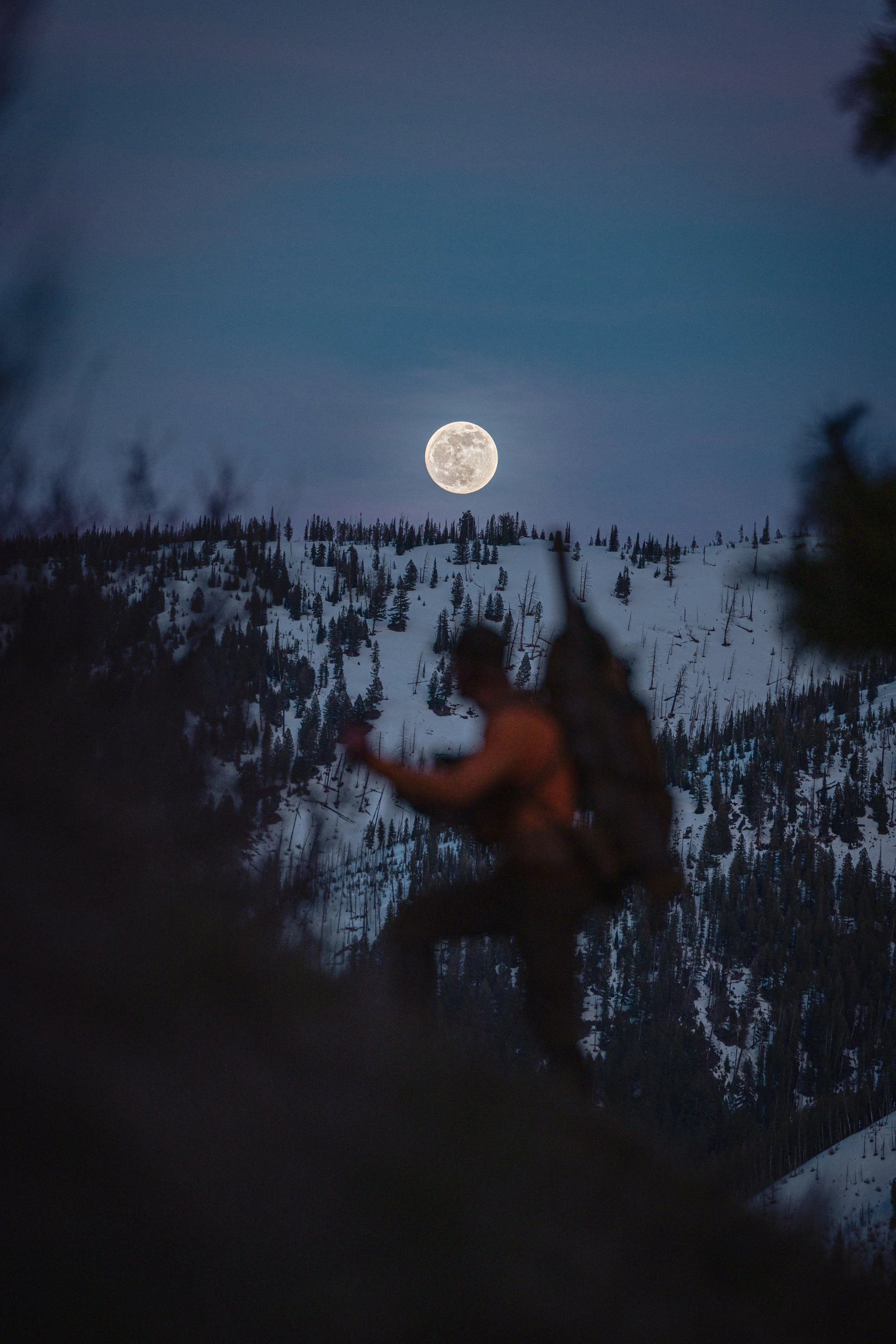 BEAR 2024-2171 3.jpeg