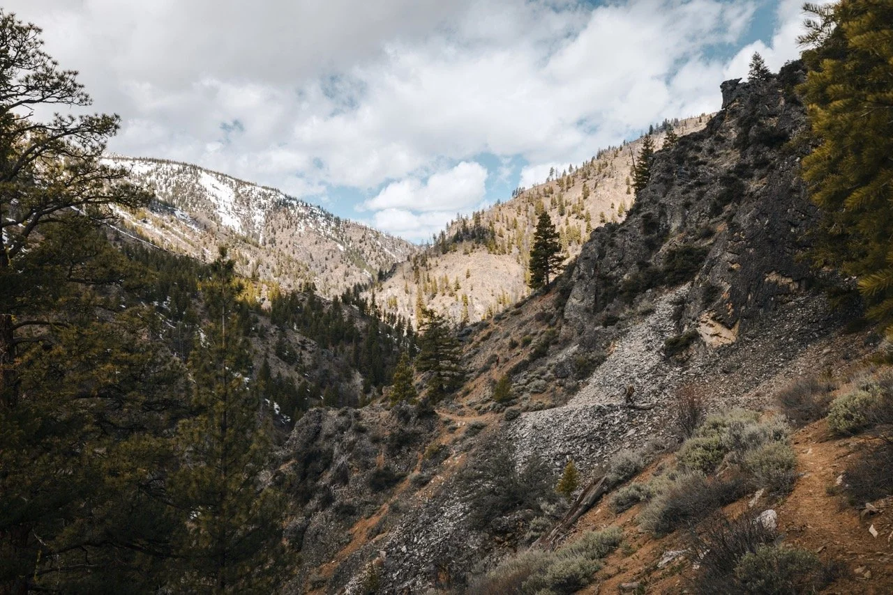 Idaho bear hunt-144 Large.jpeg