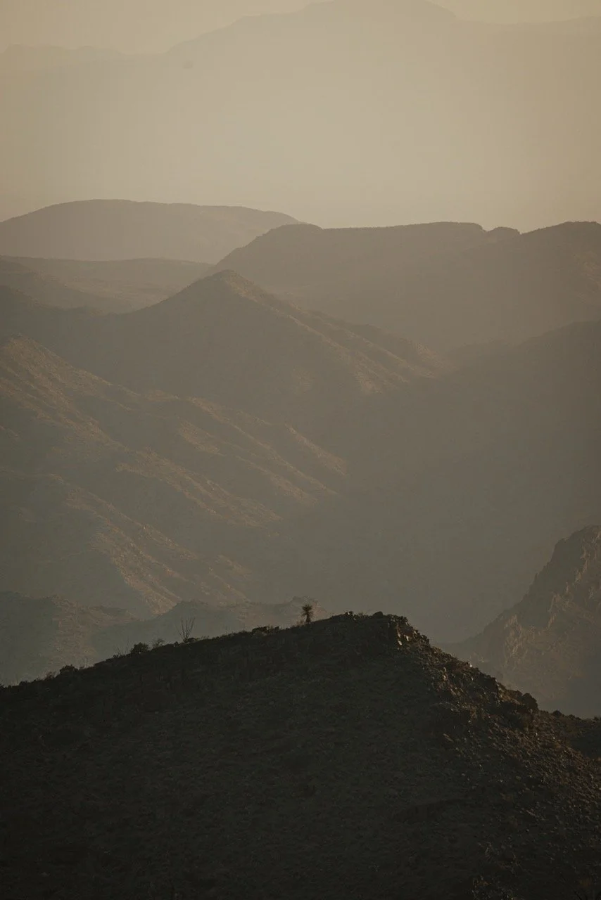 Texas Audad-0976 Large.jpeg