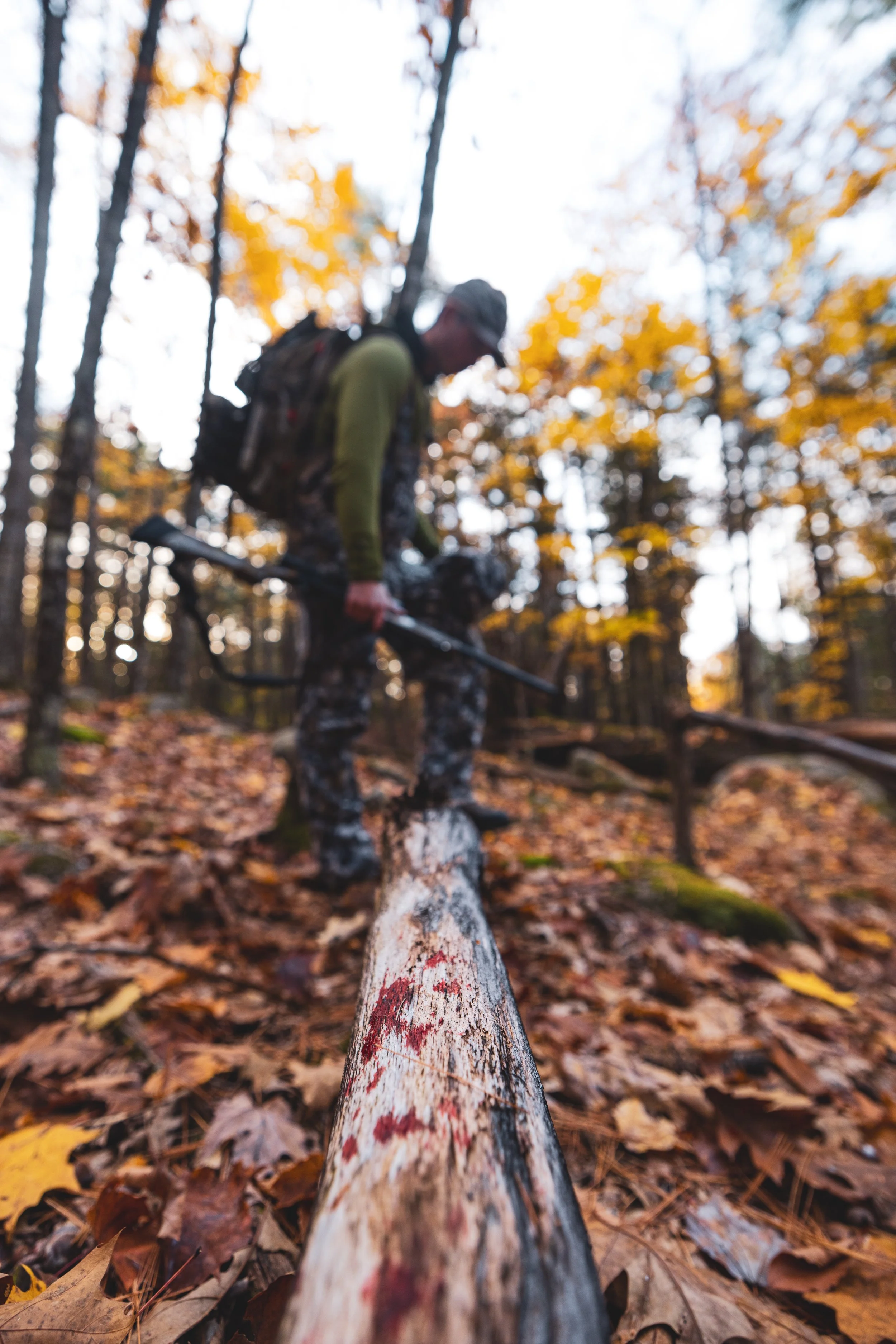 Chris Harvest-0078.jpeg