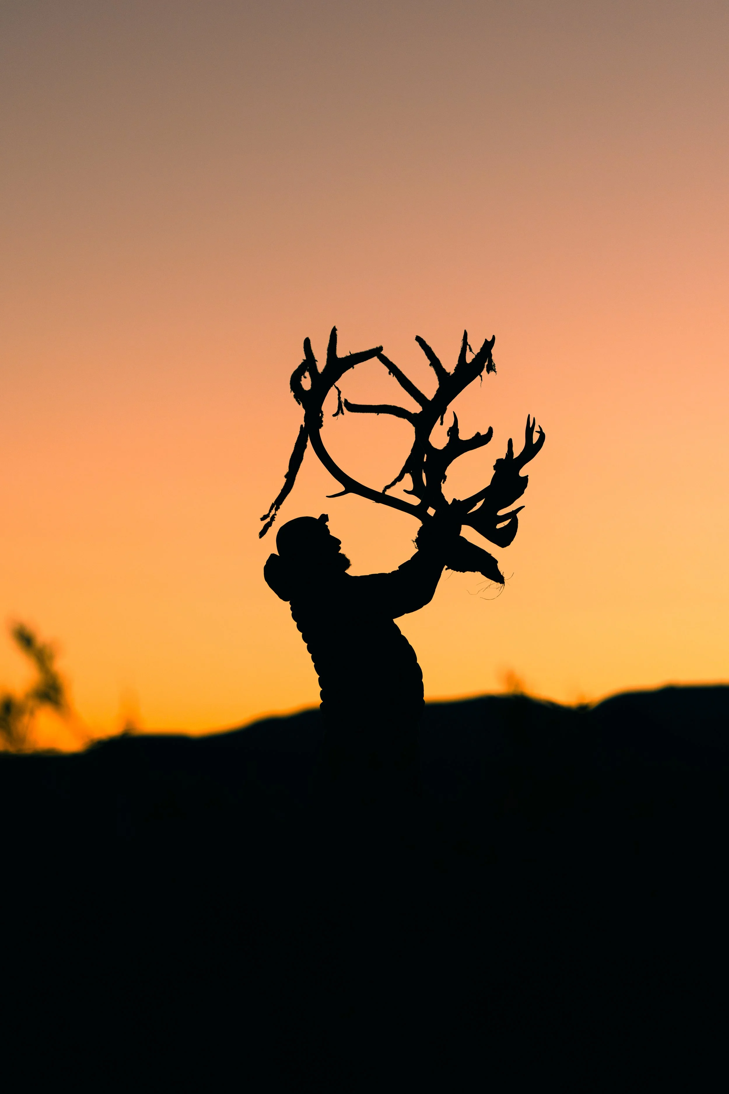 Alaska Caribou-697.jpeg