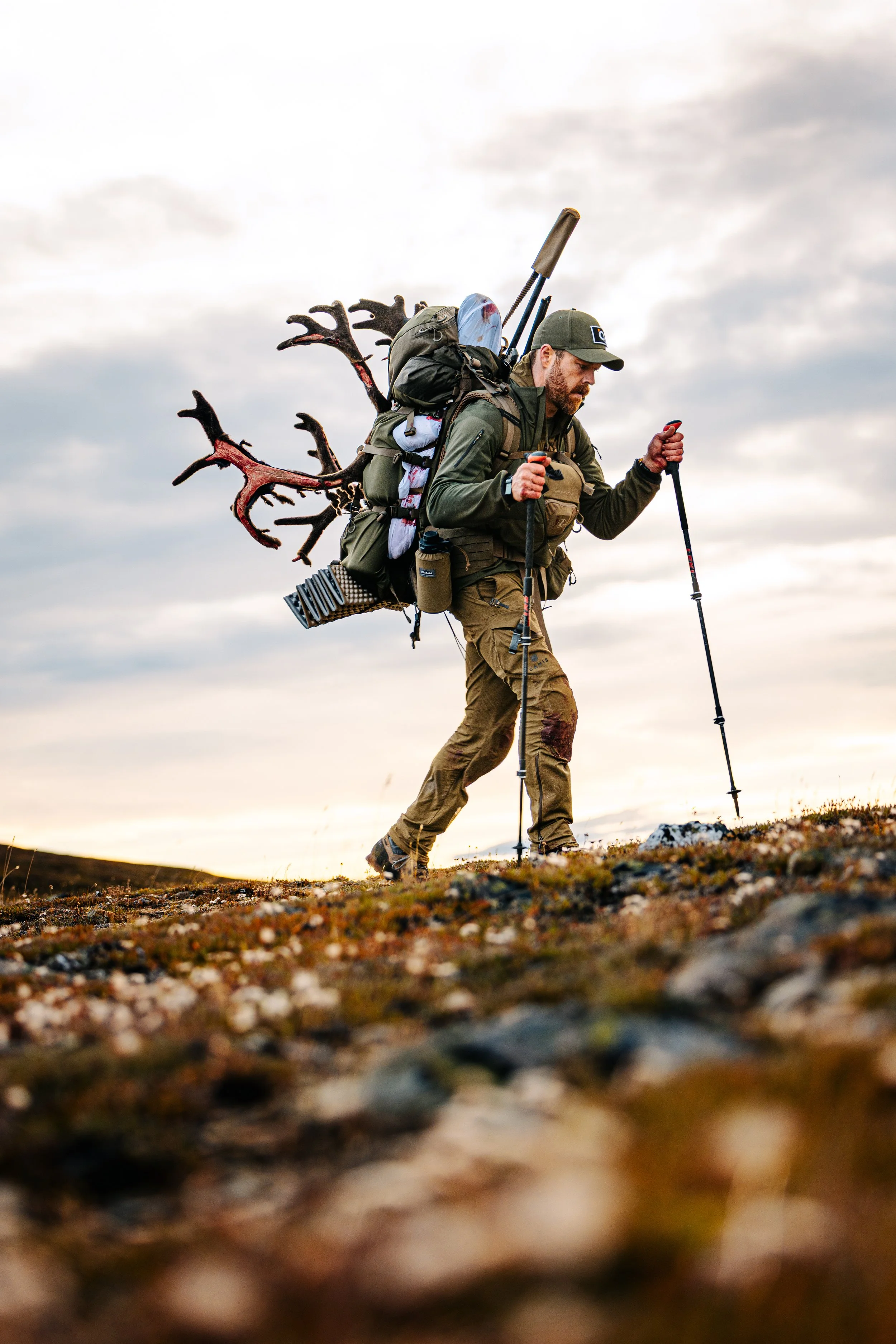 Alaska Caribou-212.jpeg