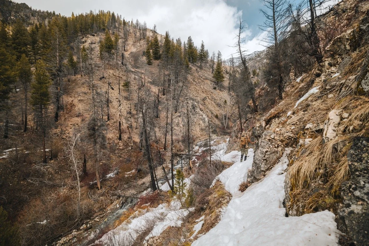 Idaho bear hunt-110 Large.jpeg