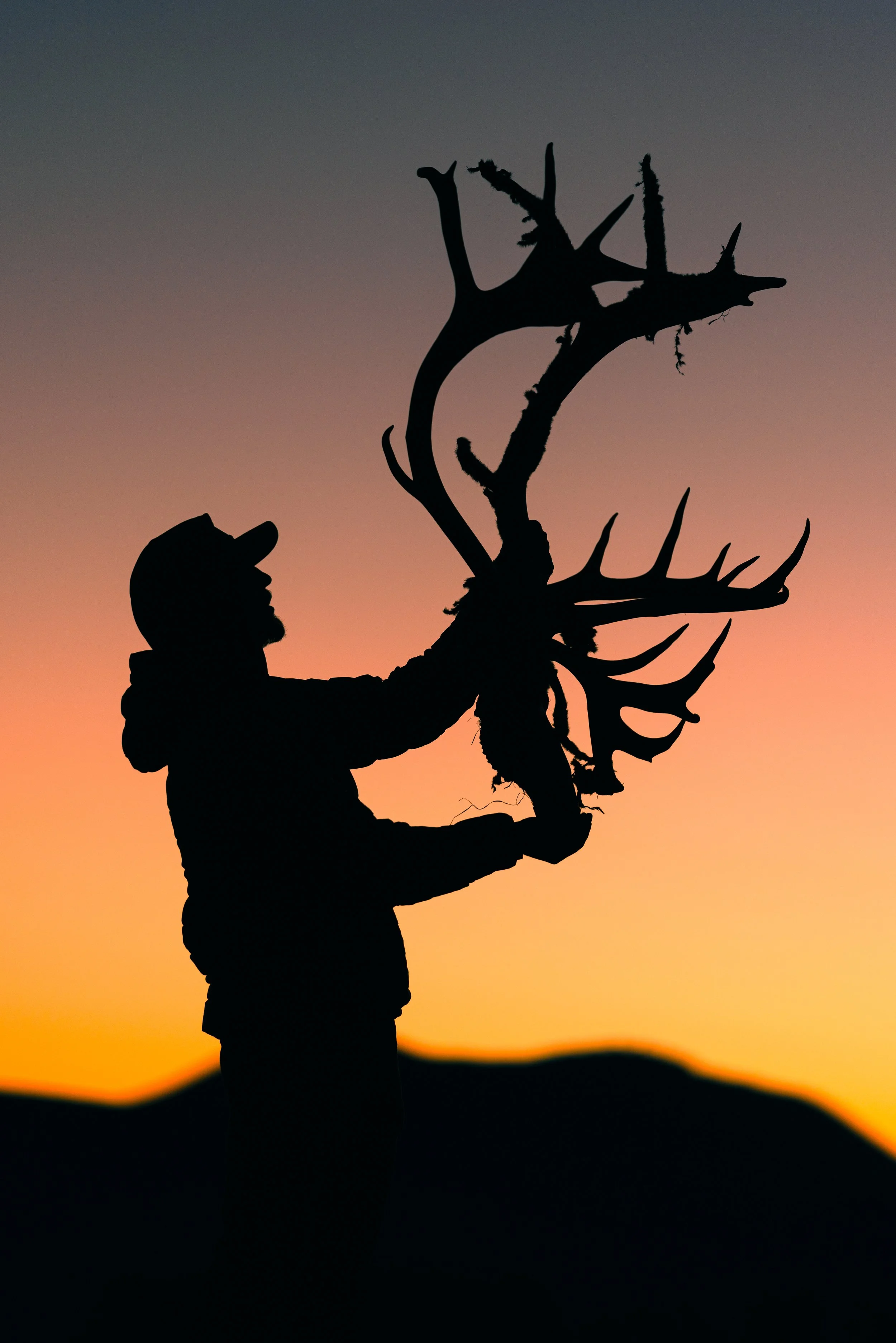 Alaska Caribou-694.jpeg