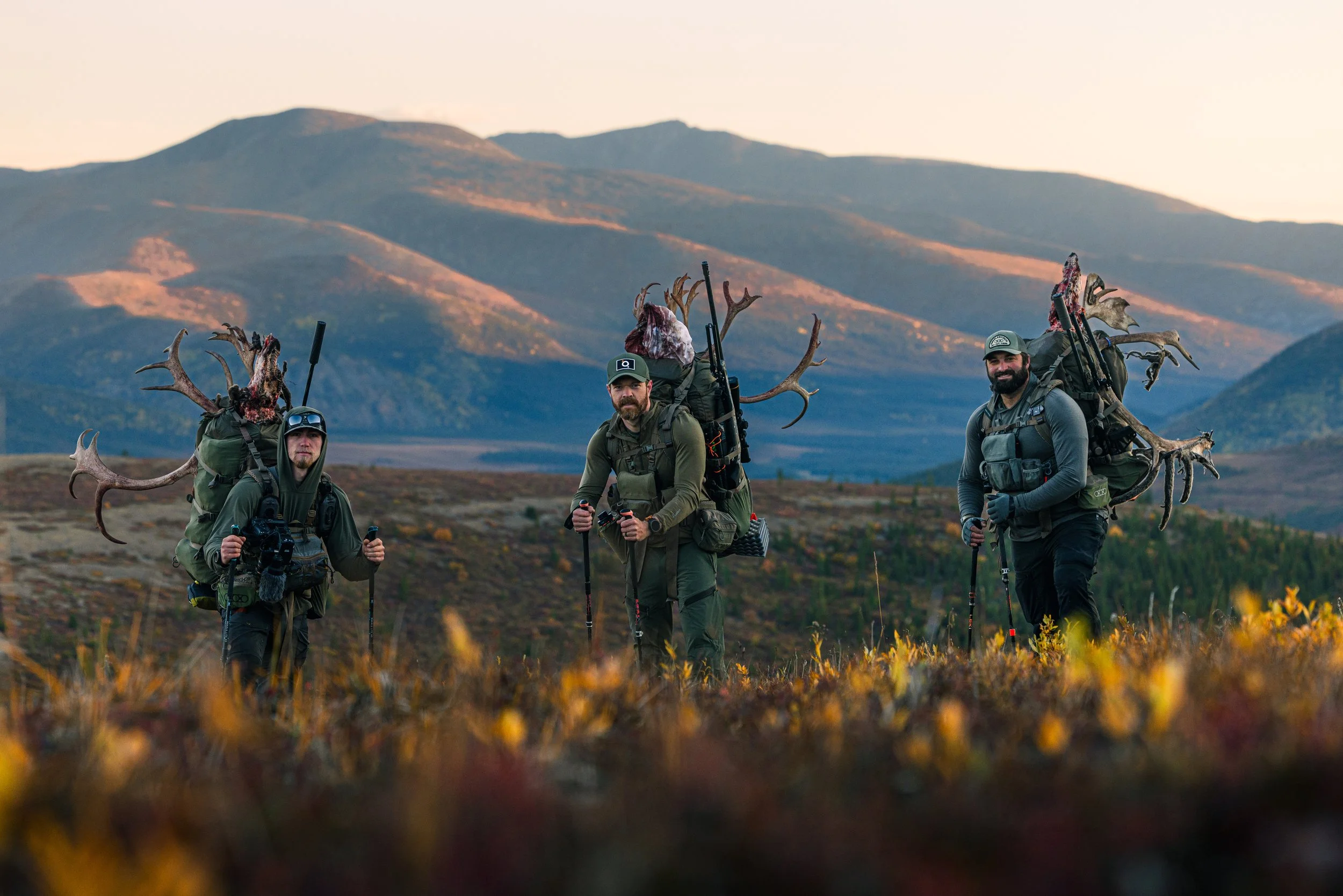 Alaska Caribou-670.jpeg