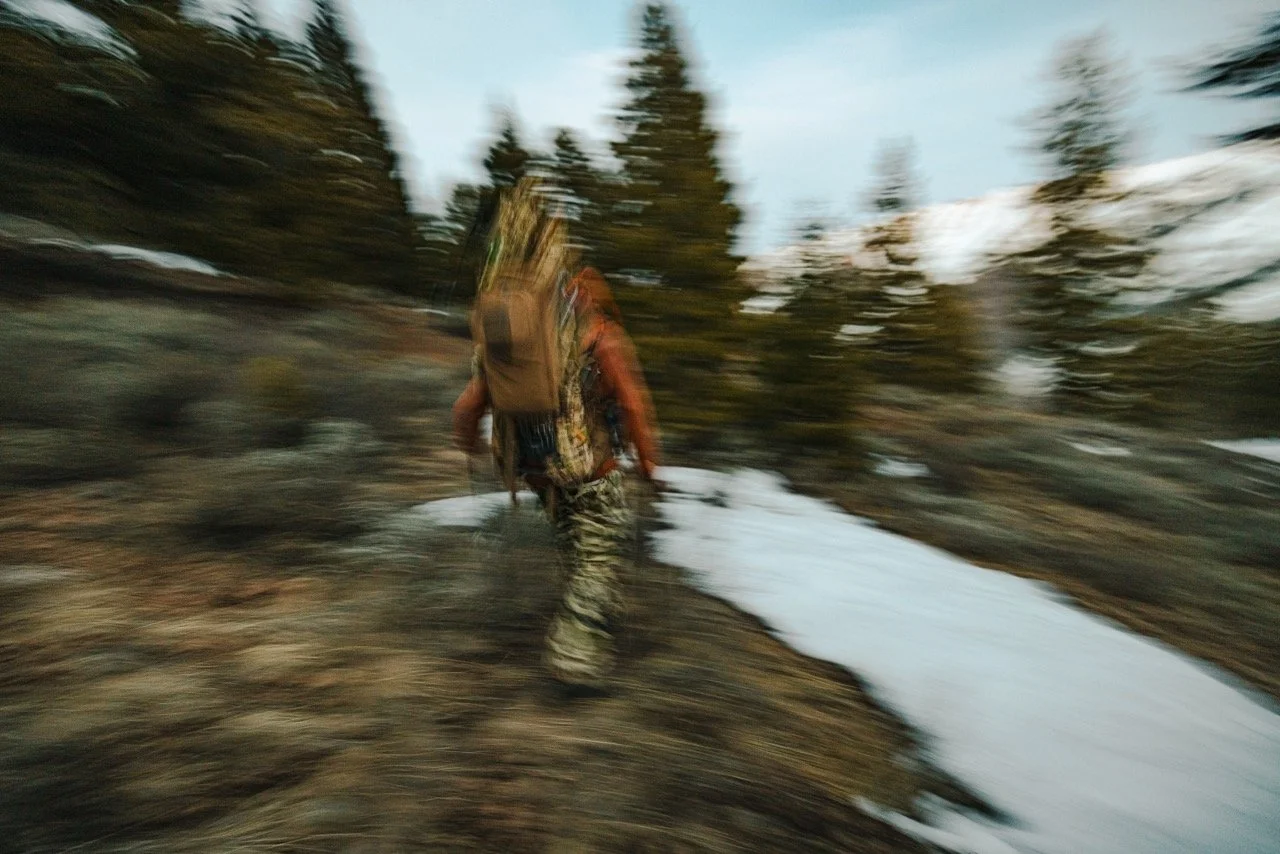 Idaho bear hunt-56 Large.jpeg