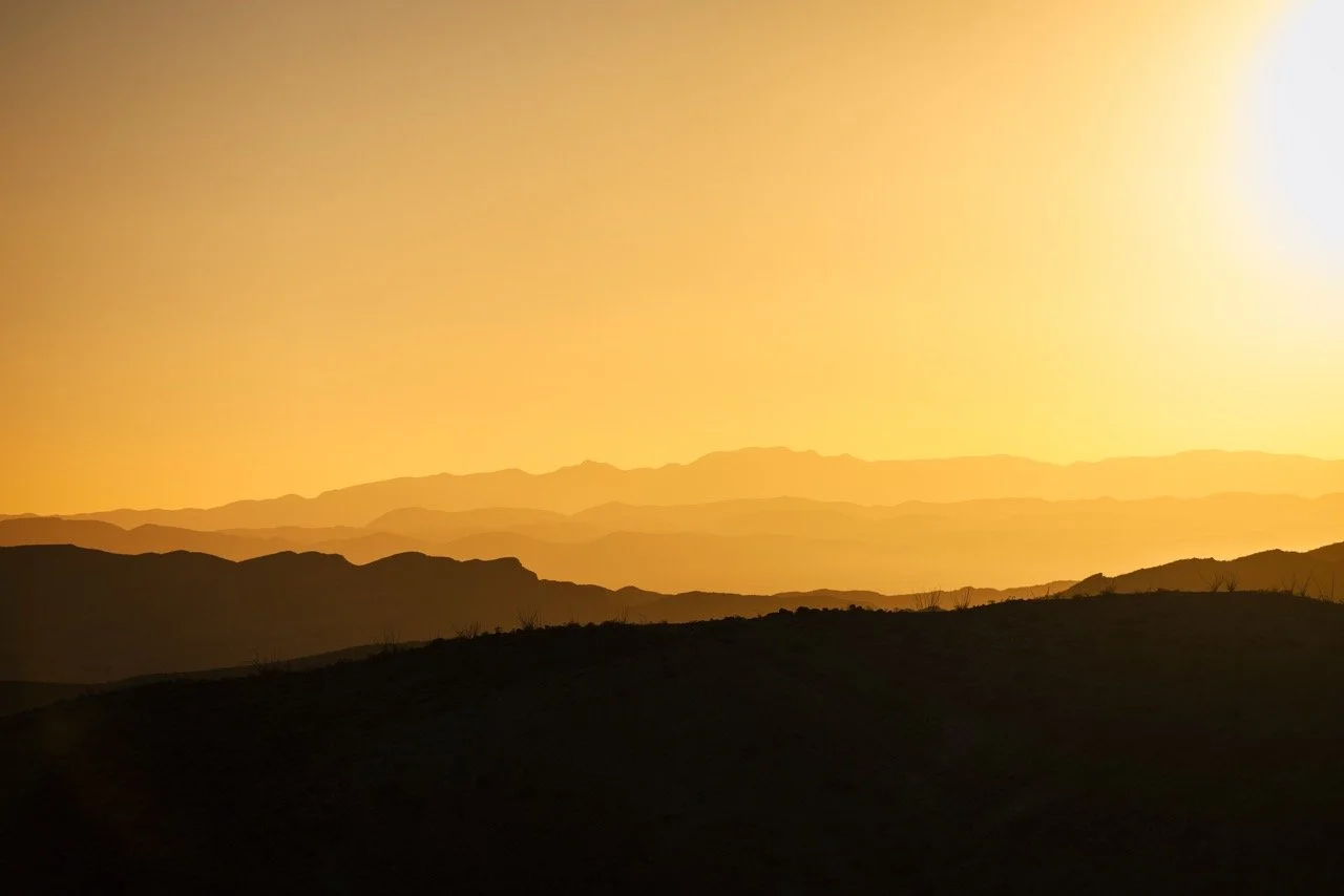 Texas Audad-0438 Large.jpeg