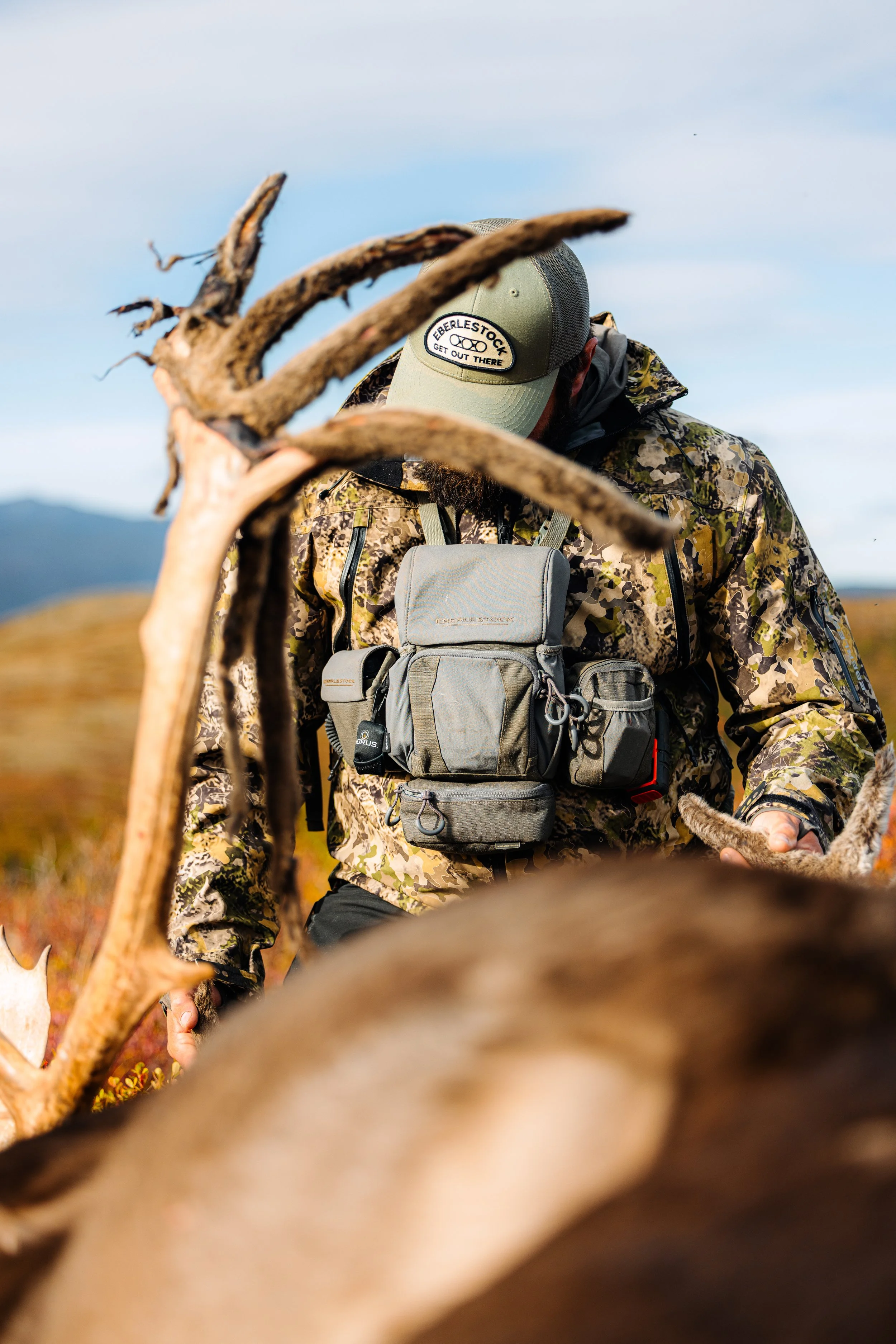 Alaska Caribou-380.jpeg