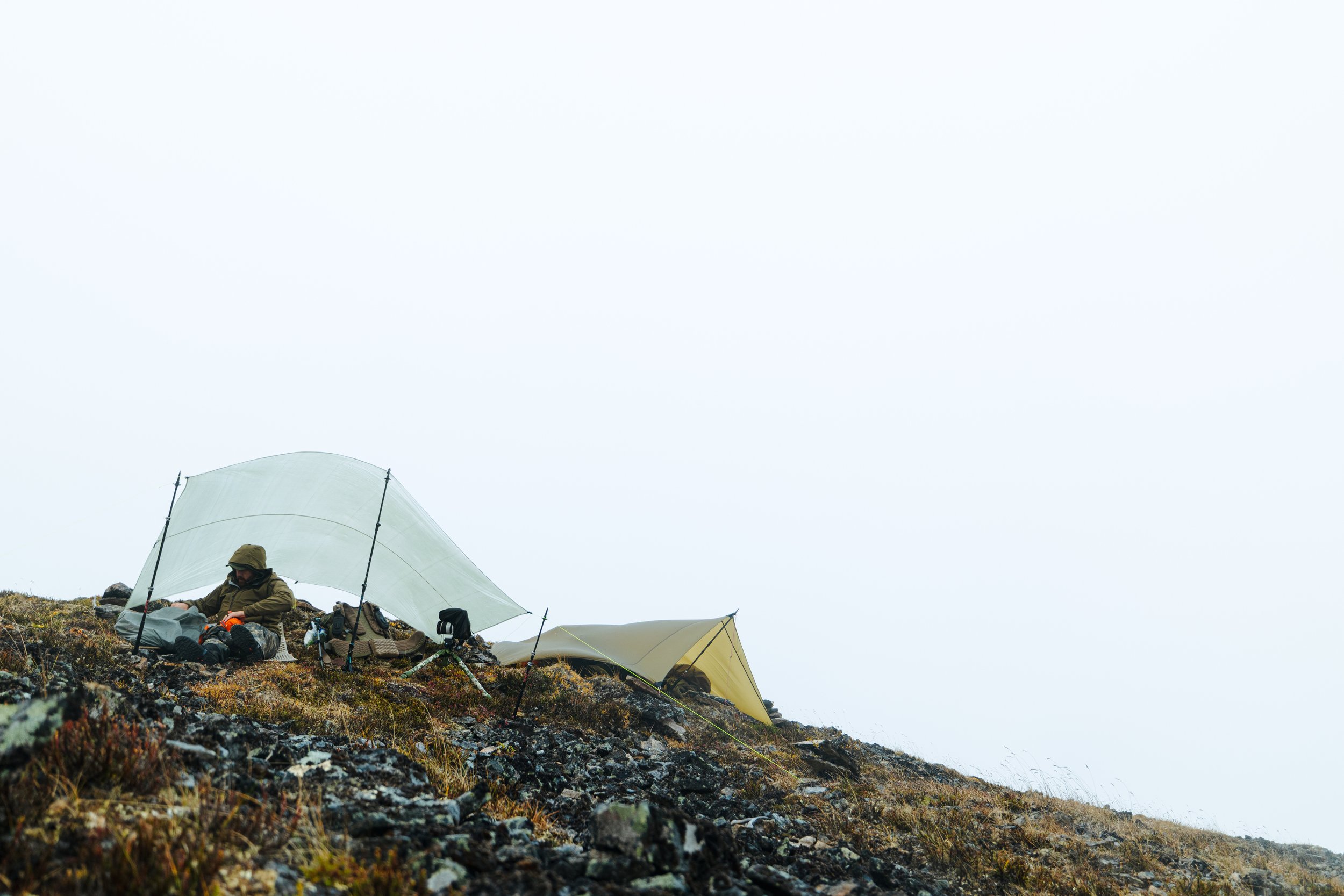 Alaska Caribou-314.jpeg