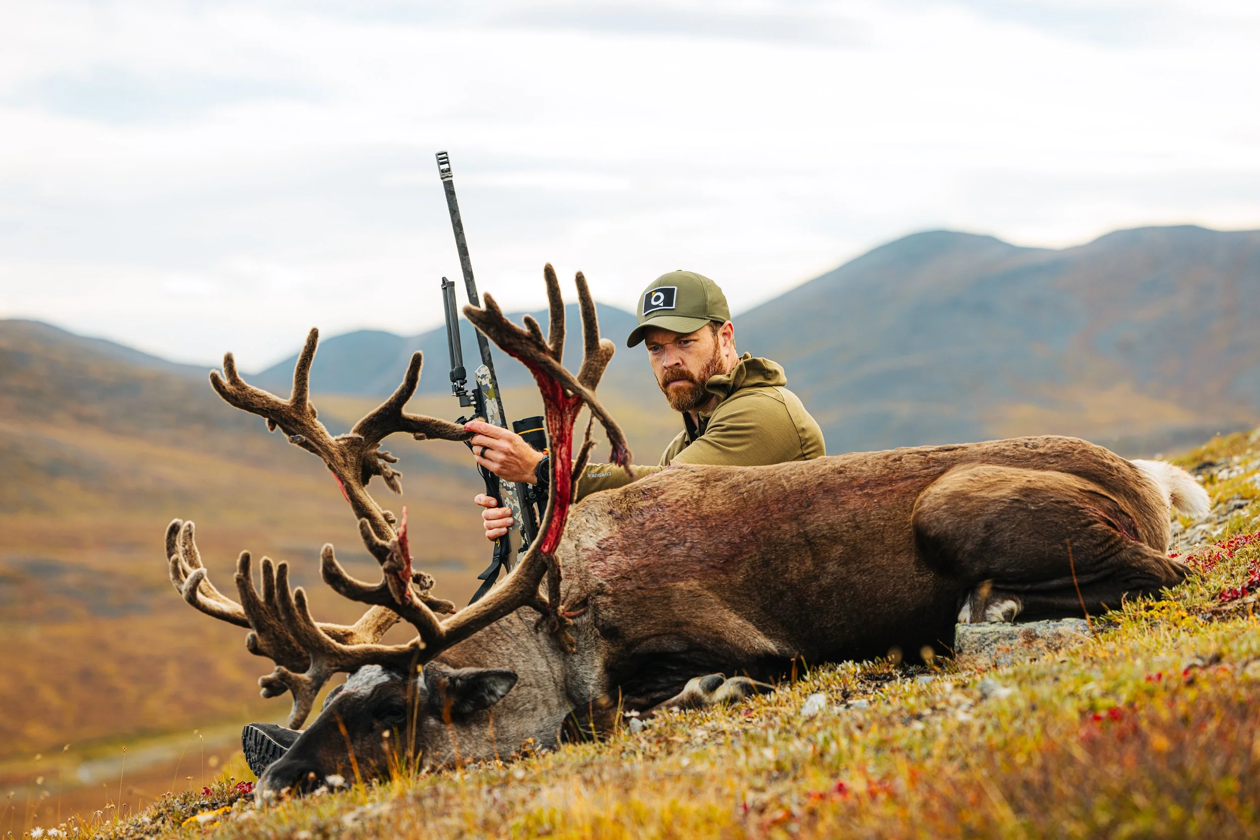 Alaska Caribou-157.jpeg