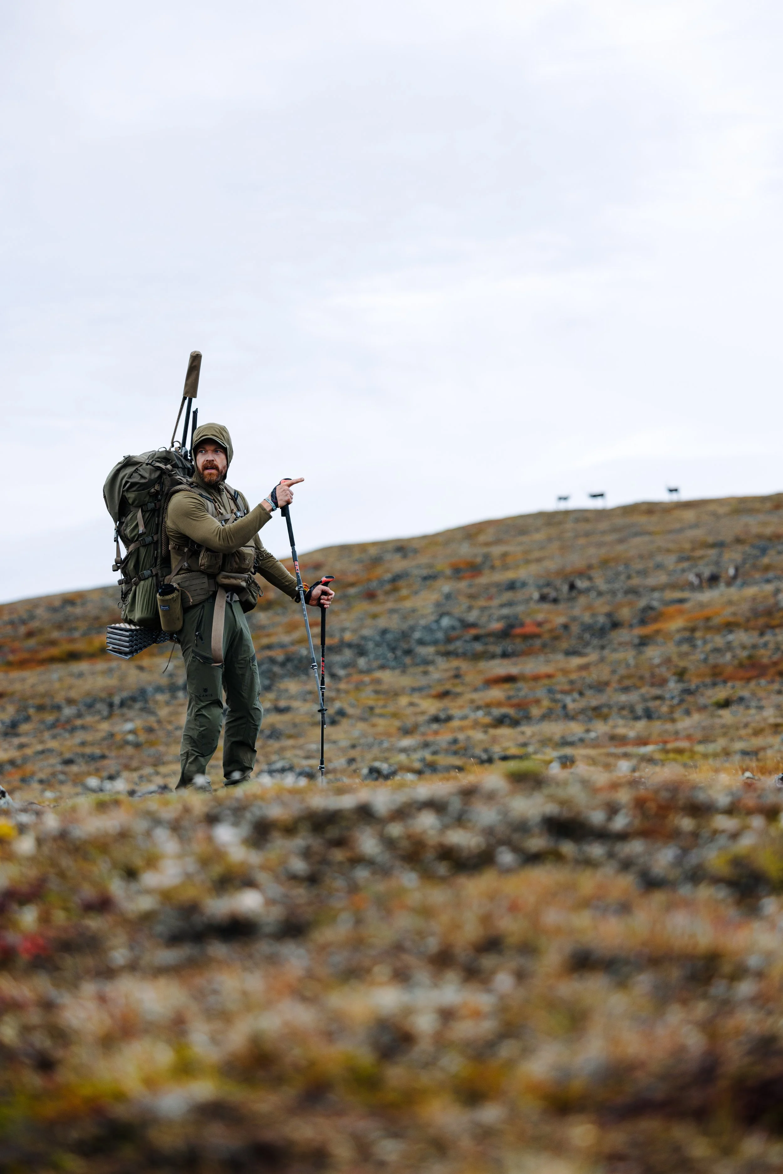 Alaska Caribou-268.jpeg