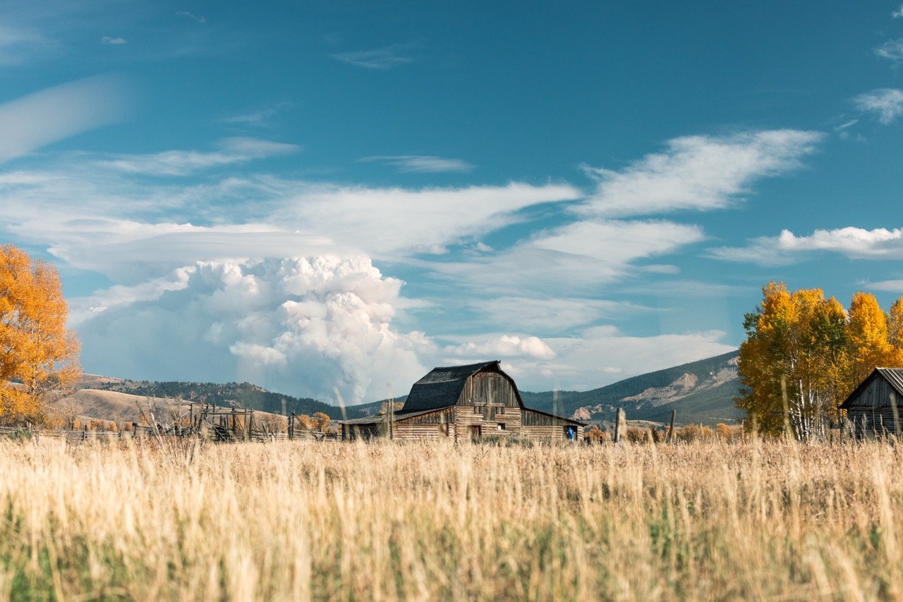 film like-6255 Large.jpeg