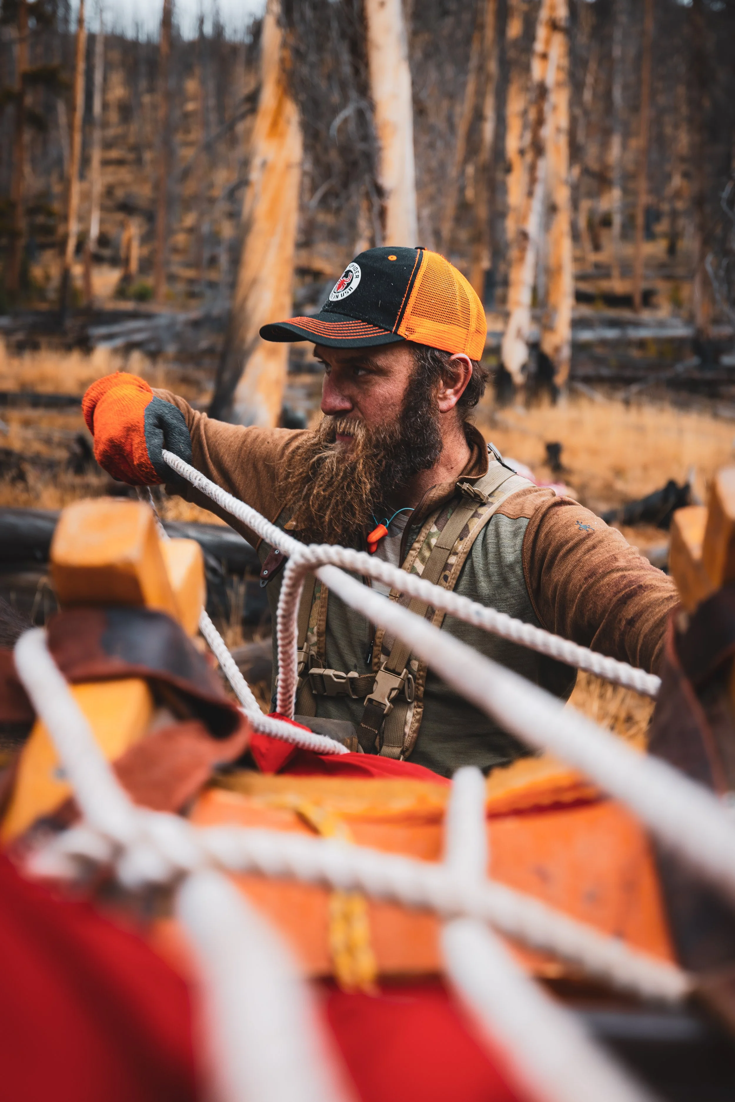 Hunters Quest - Elk-0196.jpg