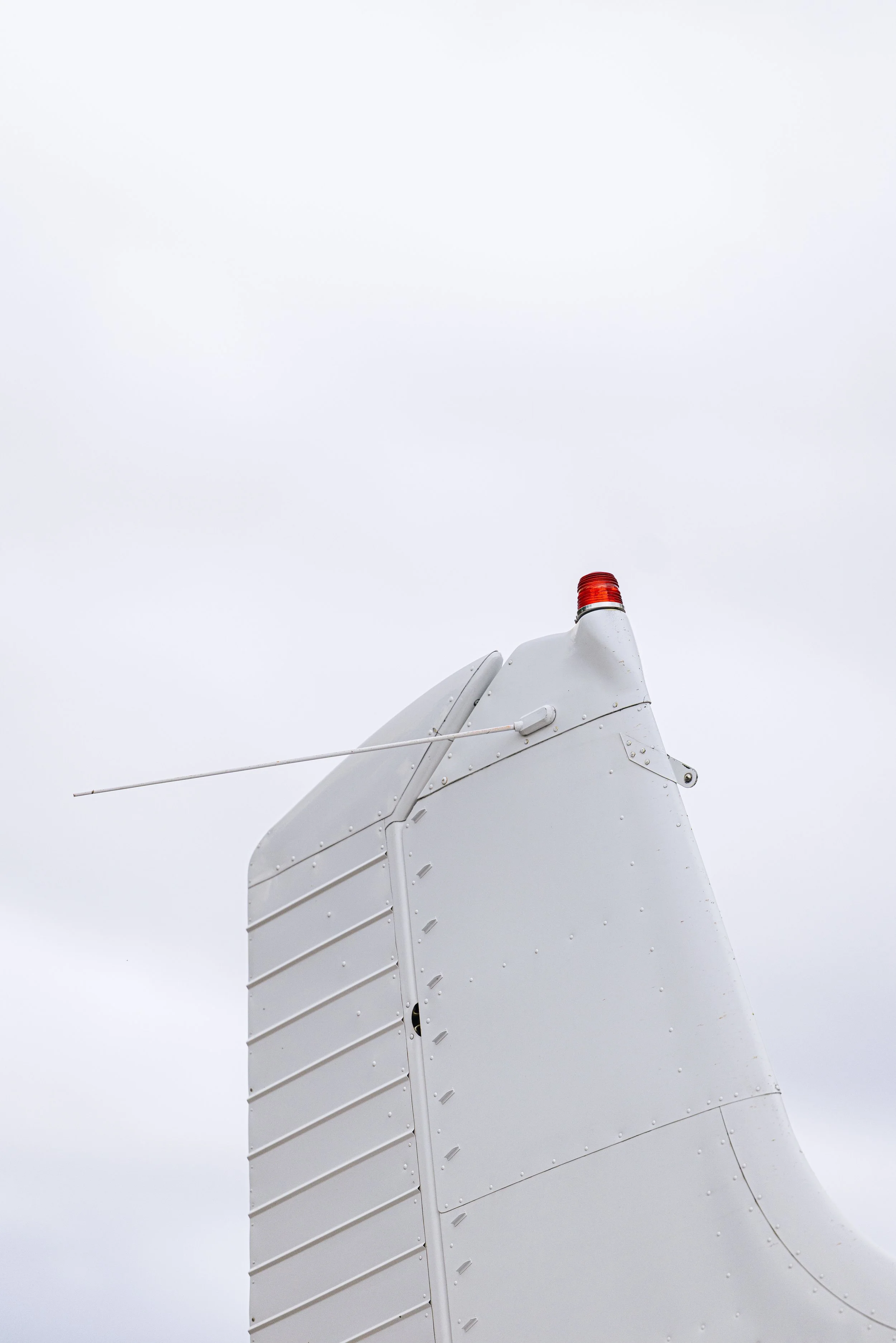 Alaska Caribou-783.jpeg