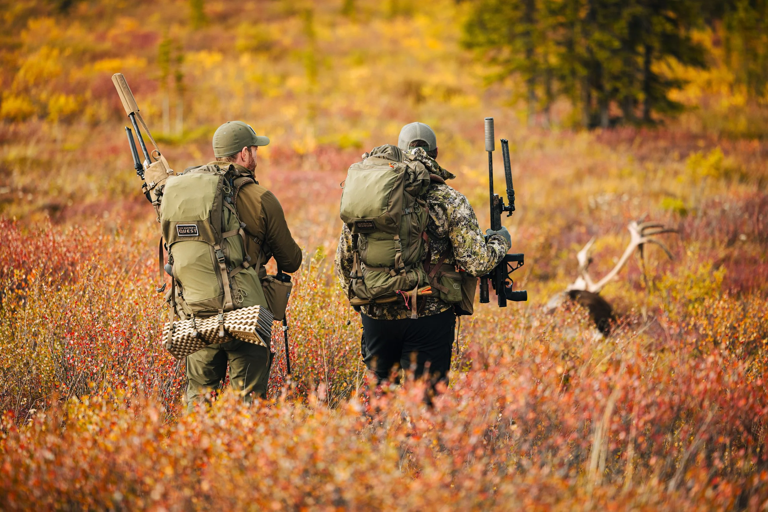 Alaska Caribou-362.jpeg