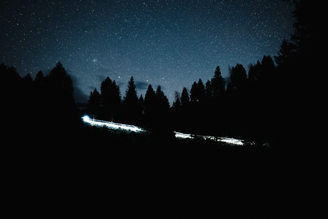 Idaho bear hunt-122 Large.jpeg