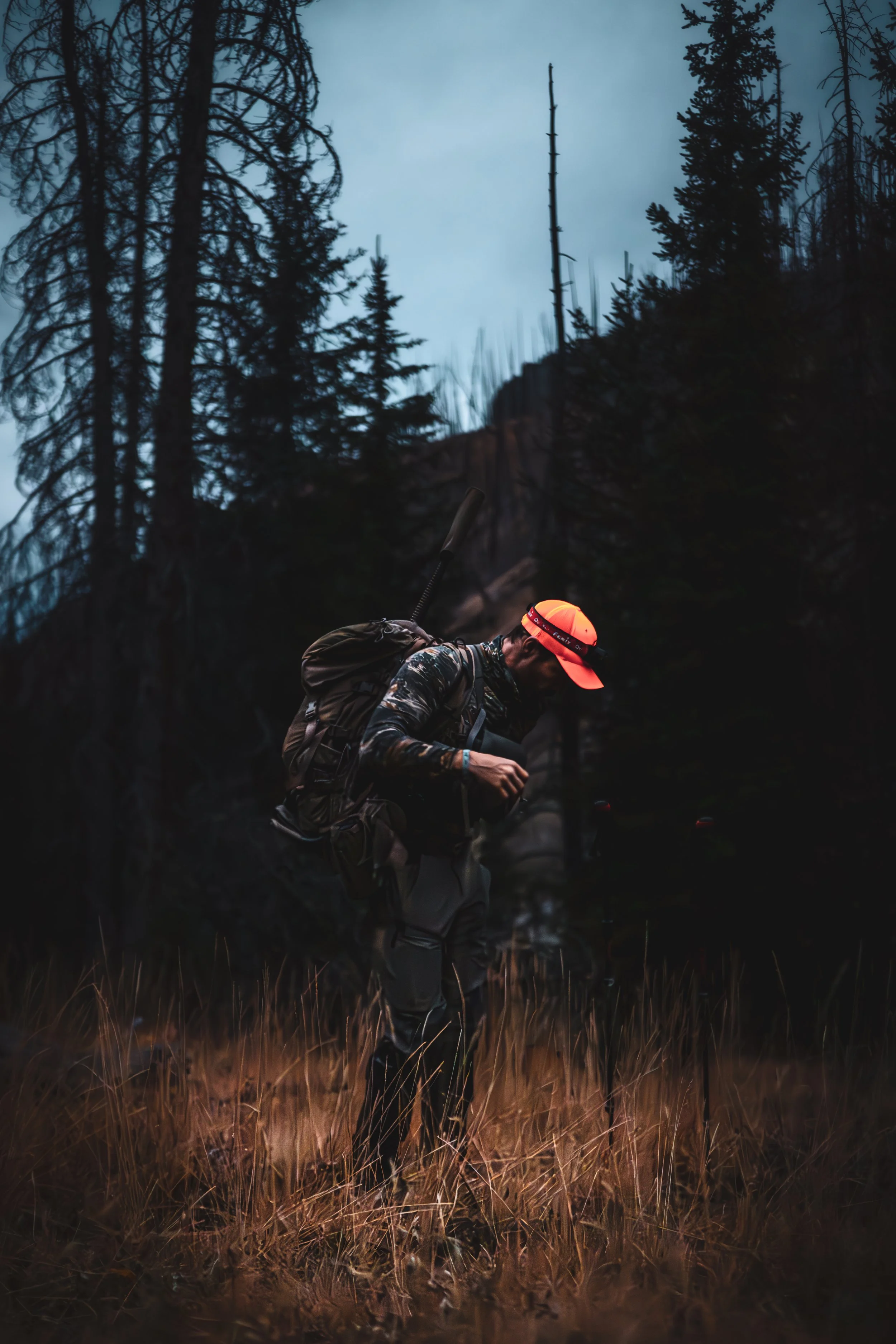 Hunters Quest - Elk-.jpg