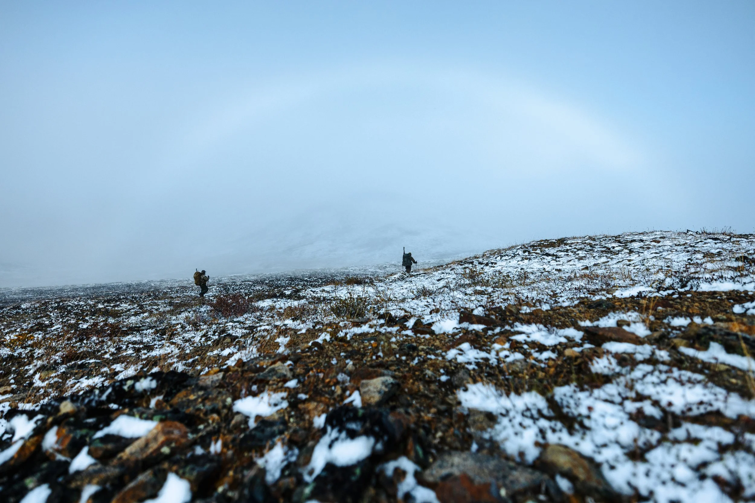 Alaska Caribou-329.jpeg