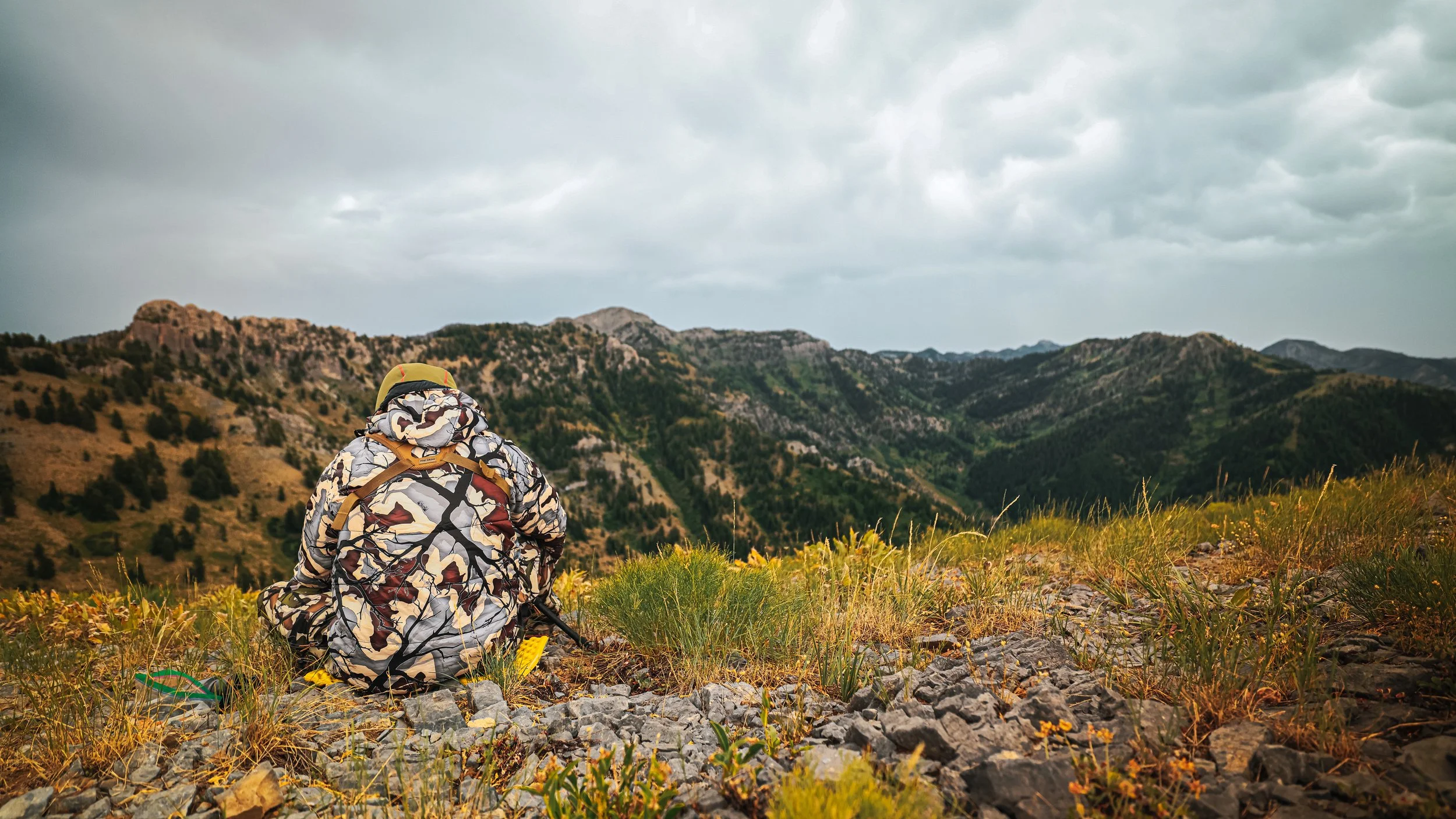 Utah 2024 Mule Deer-8362.jpeg