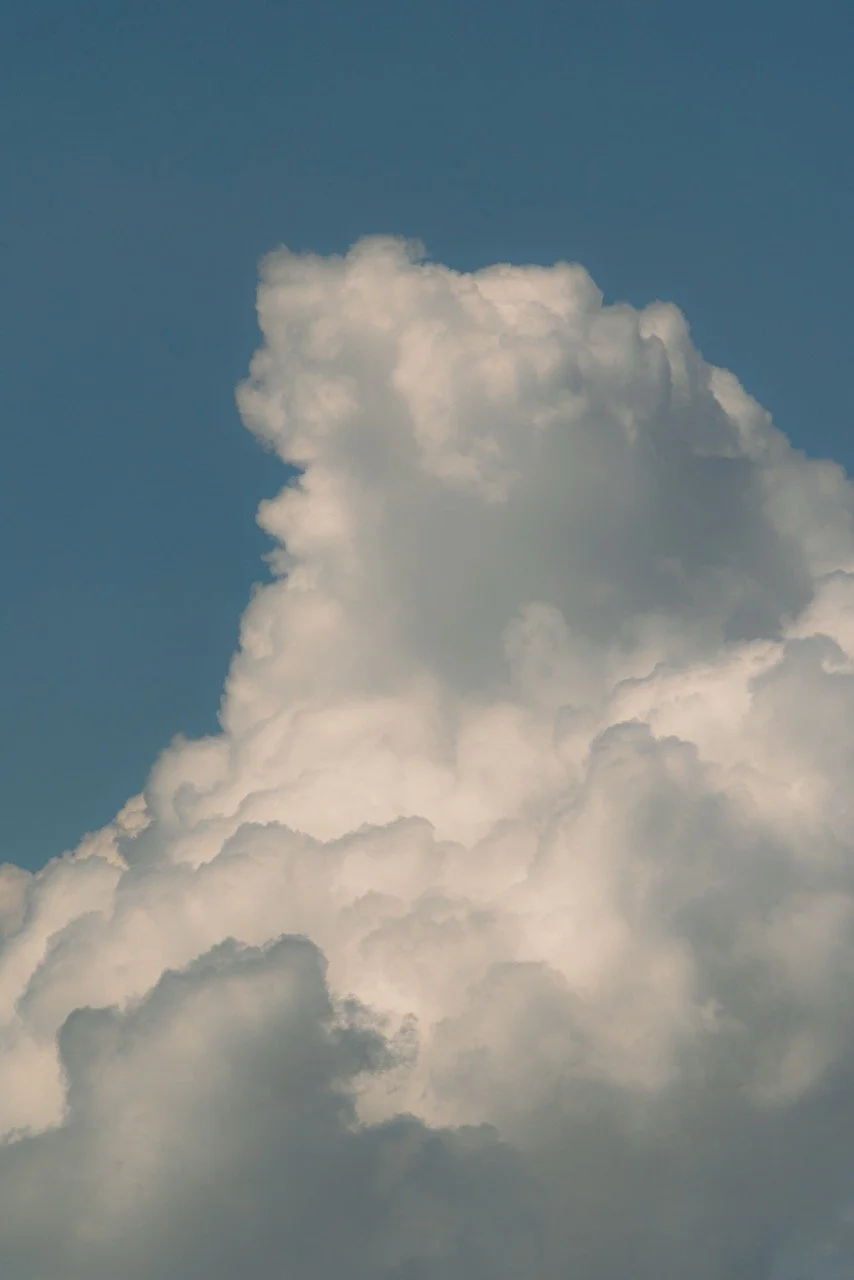 Utah archery-9 Large.jpeg