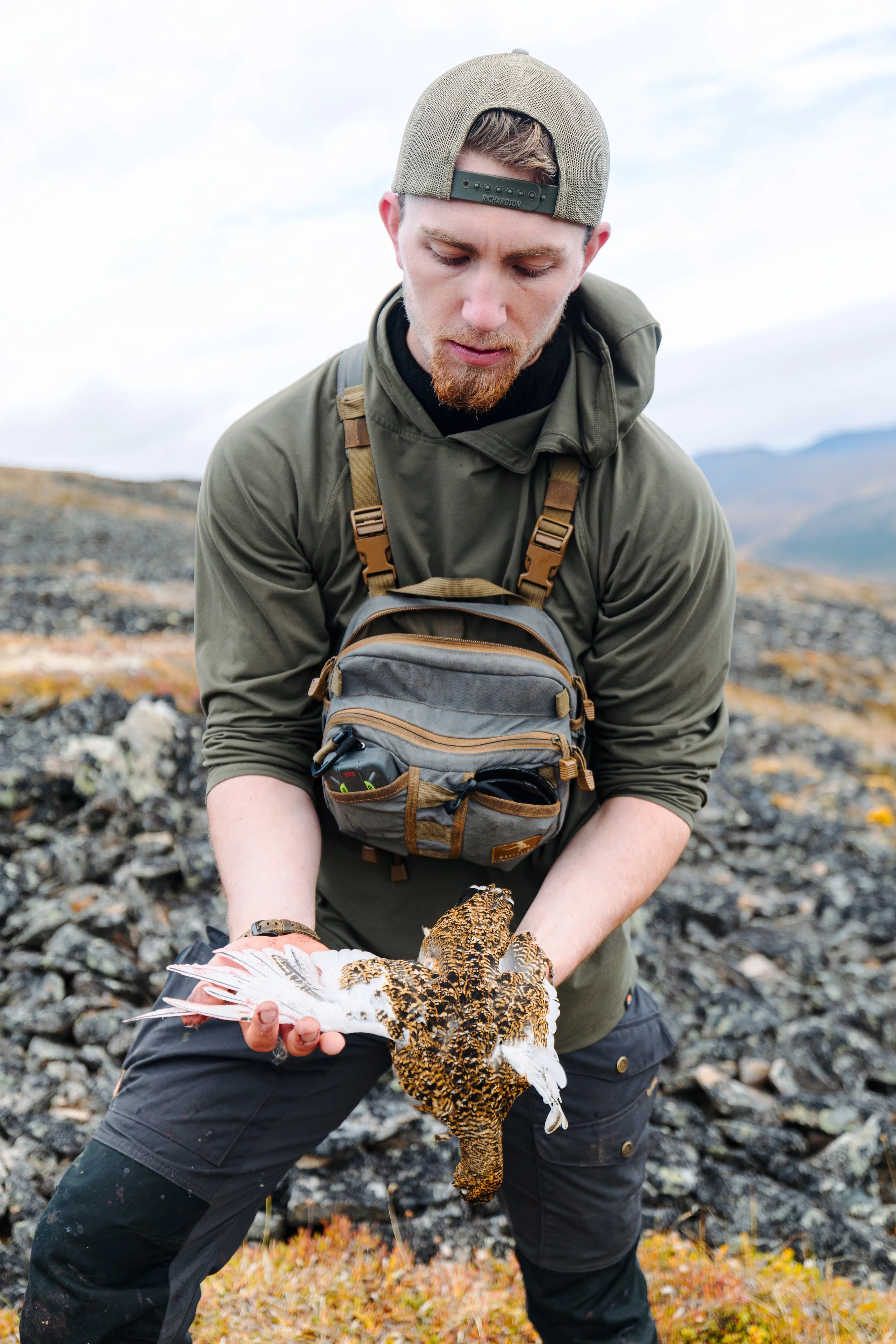 Alaska Caribou-289.jpeg