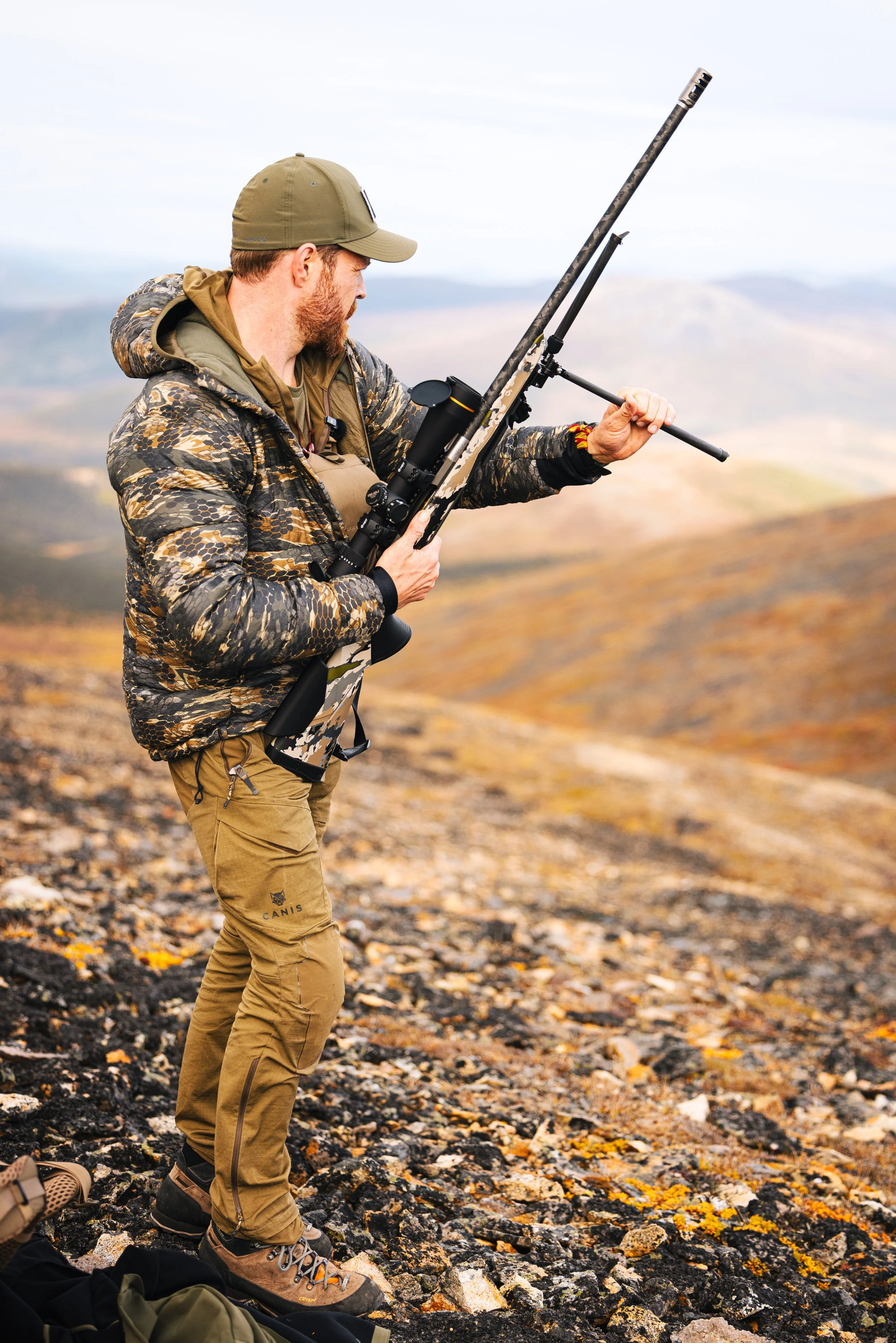 Alaska Caribou-139.jpeg