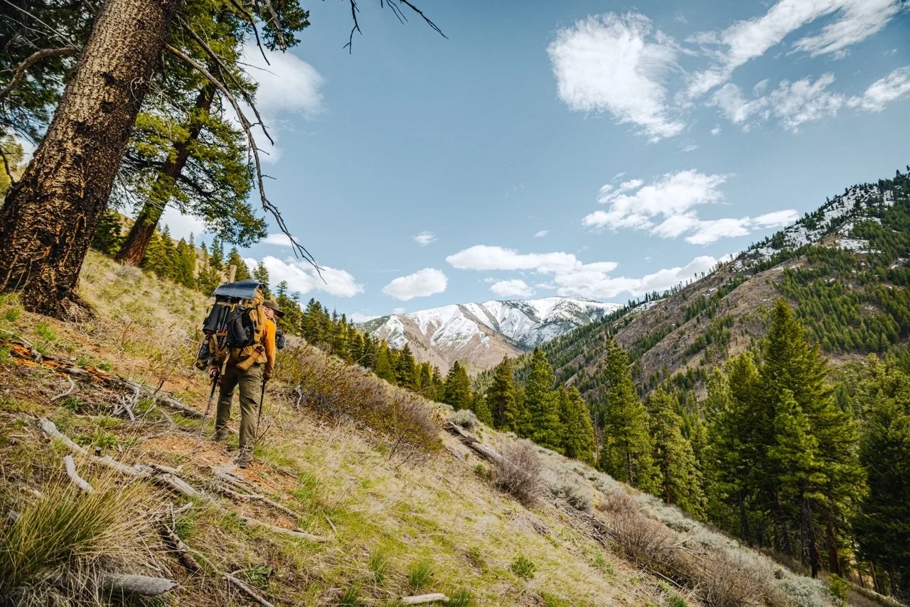 BEAR 2024-3620 Large 2.jpeg