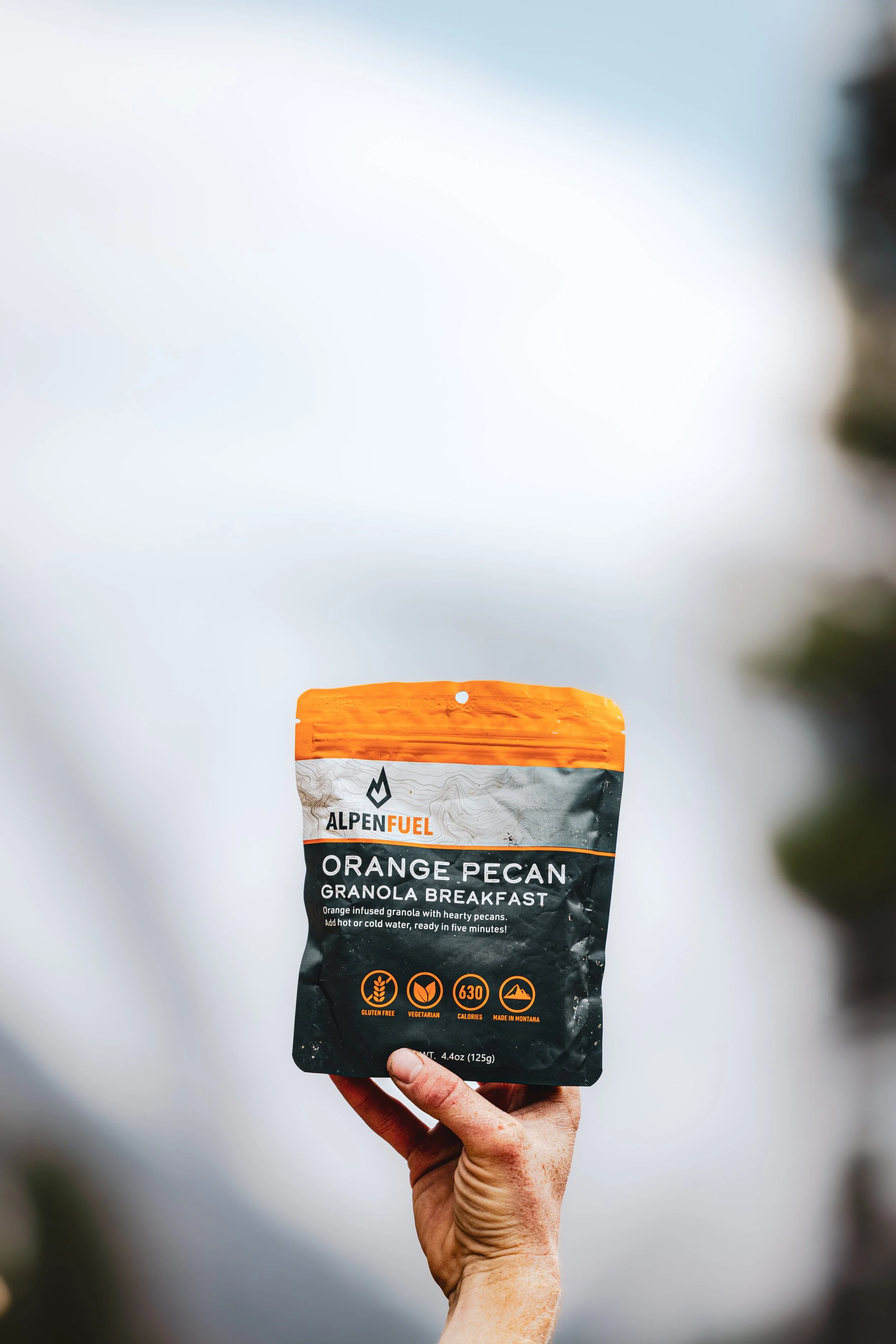 BEAR 2024-3445-2.jpeg