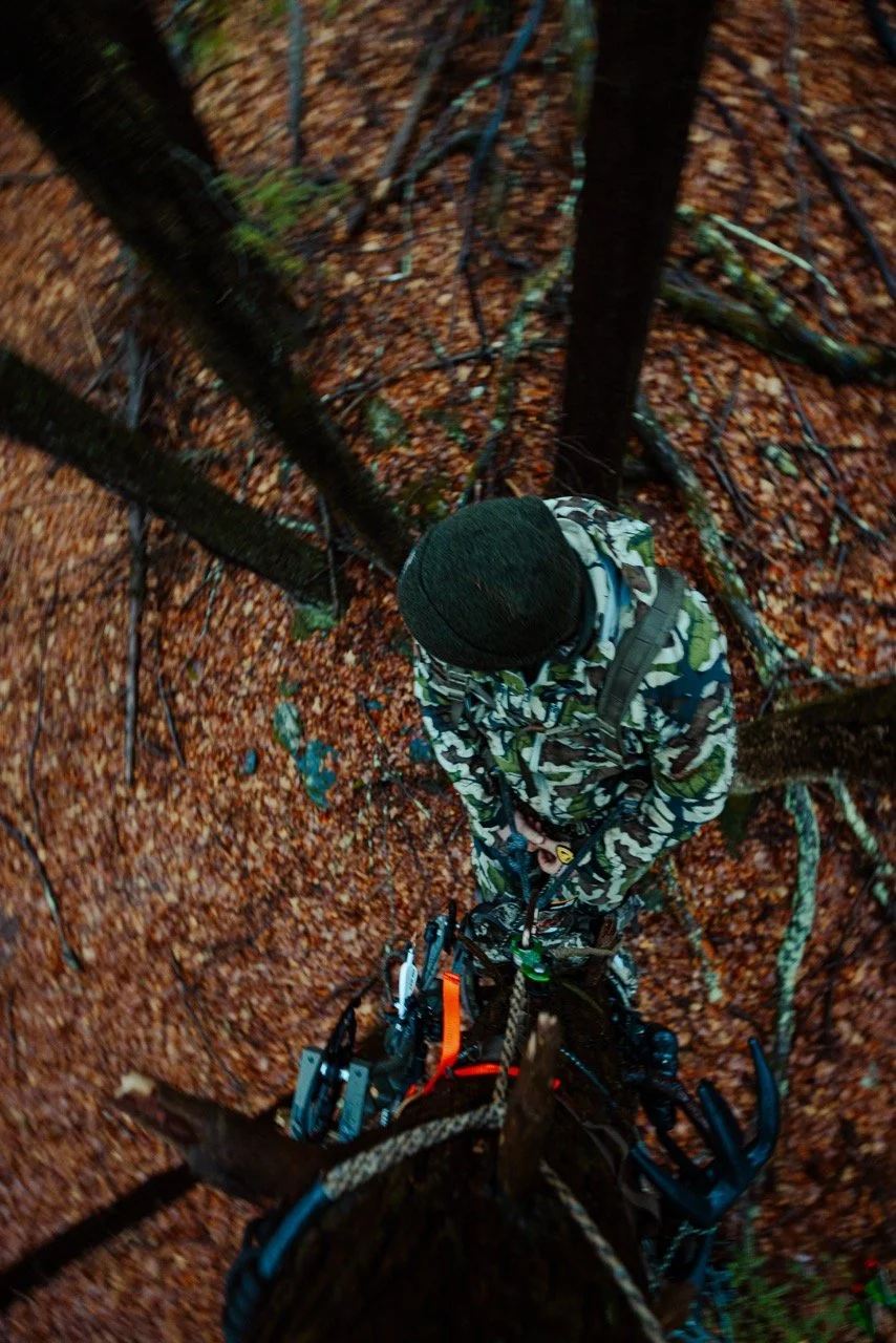 THLETE WHITETAIL-6991 Large.jpeg