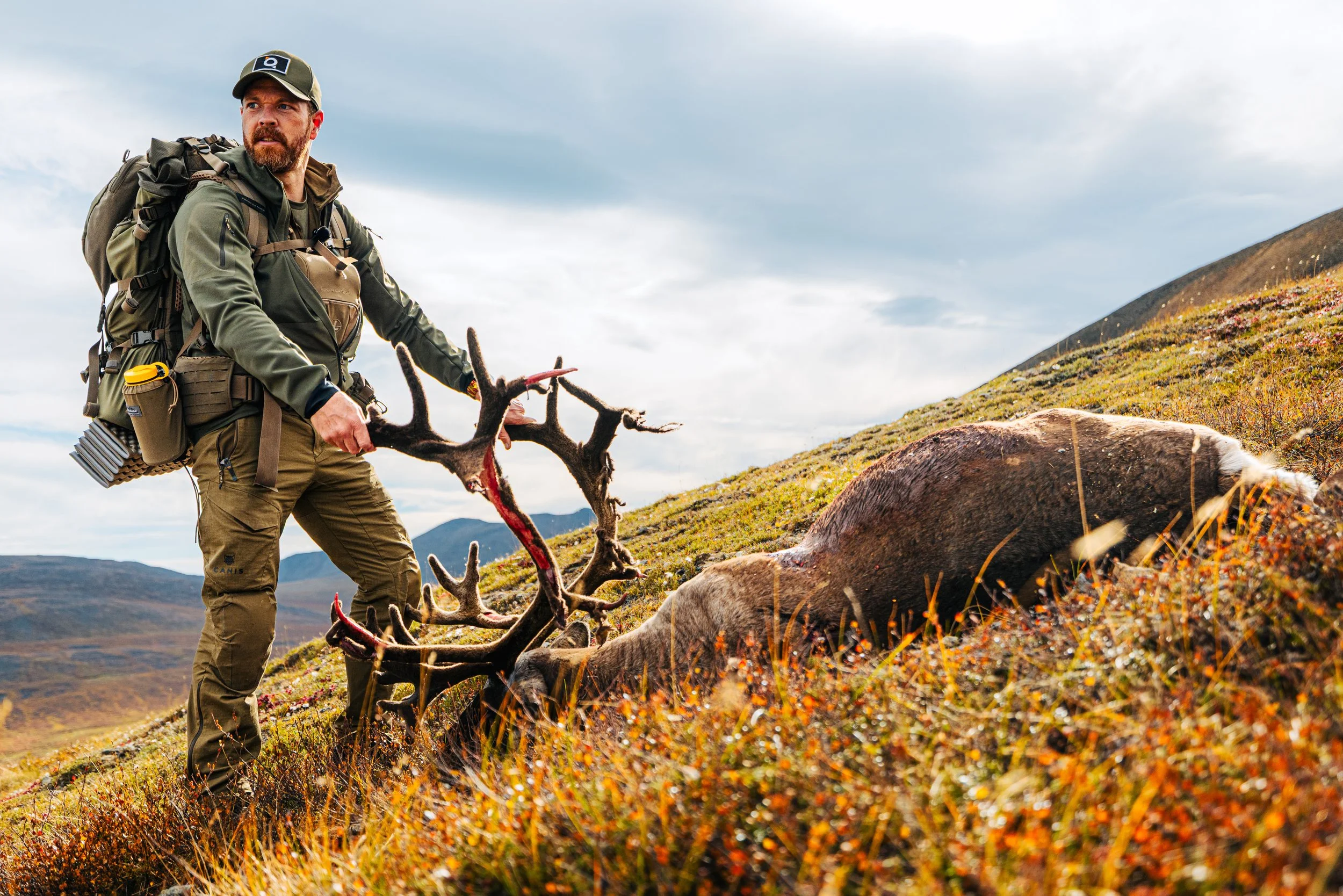 Alaska Caribou-187.jpeg