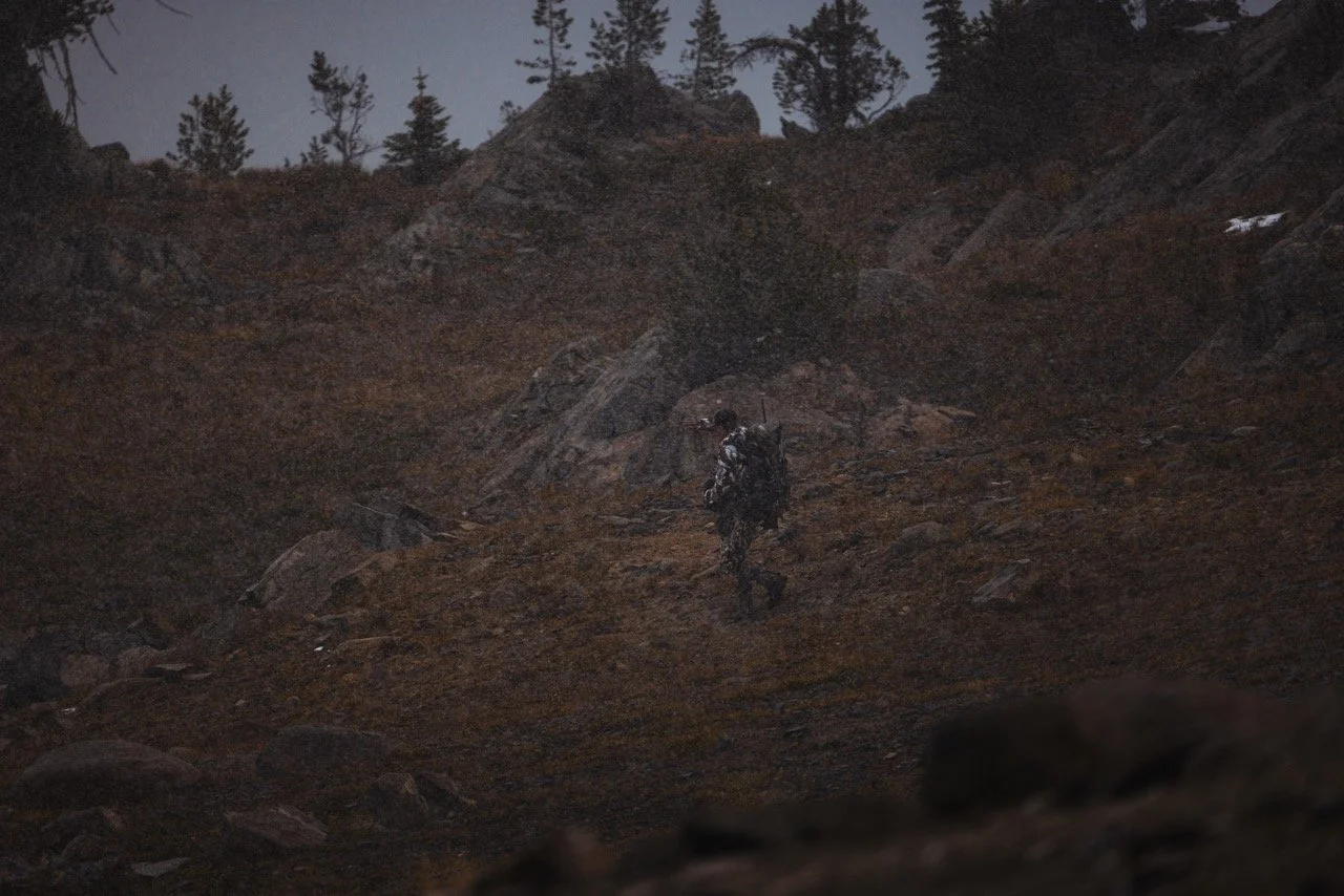 MTN Goat edited-4469 Large.jpeg