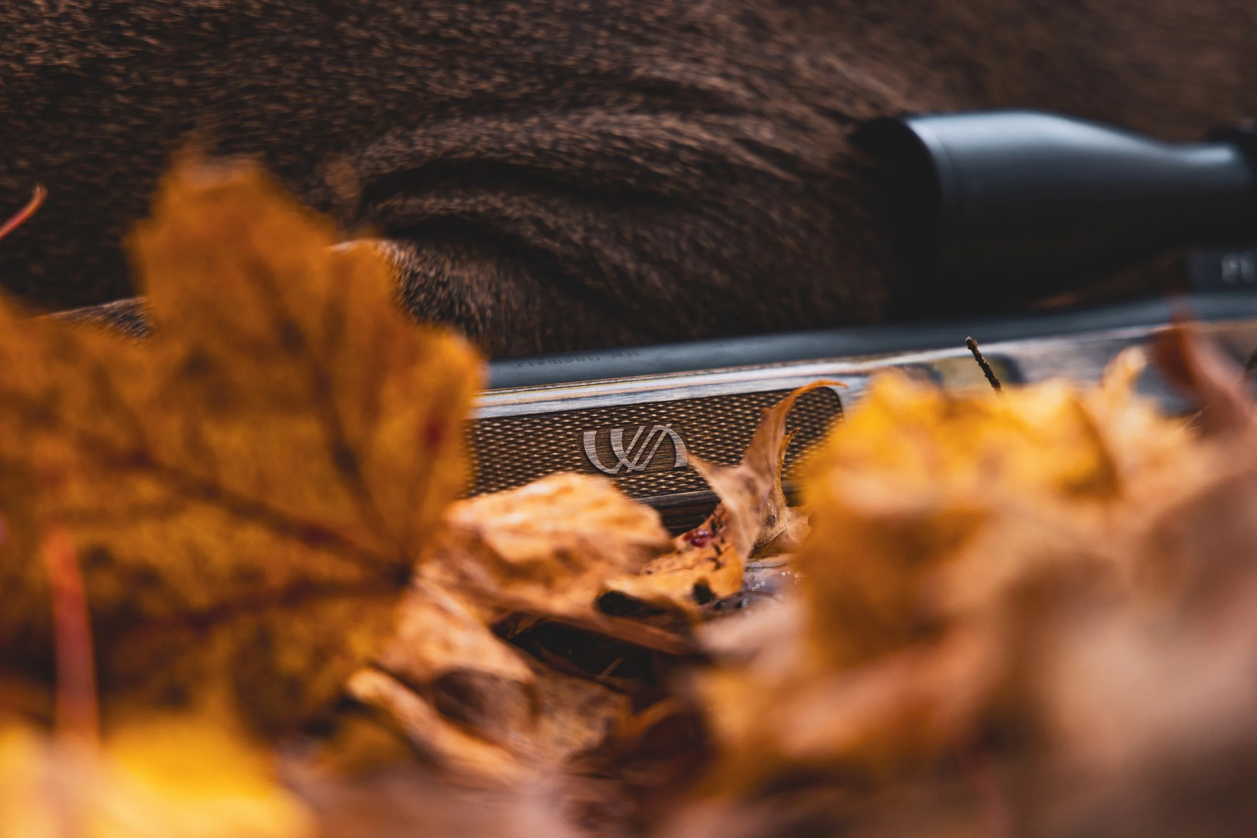 Chris Harvest-0543.jpeg