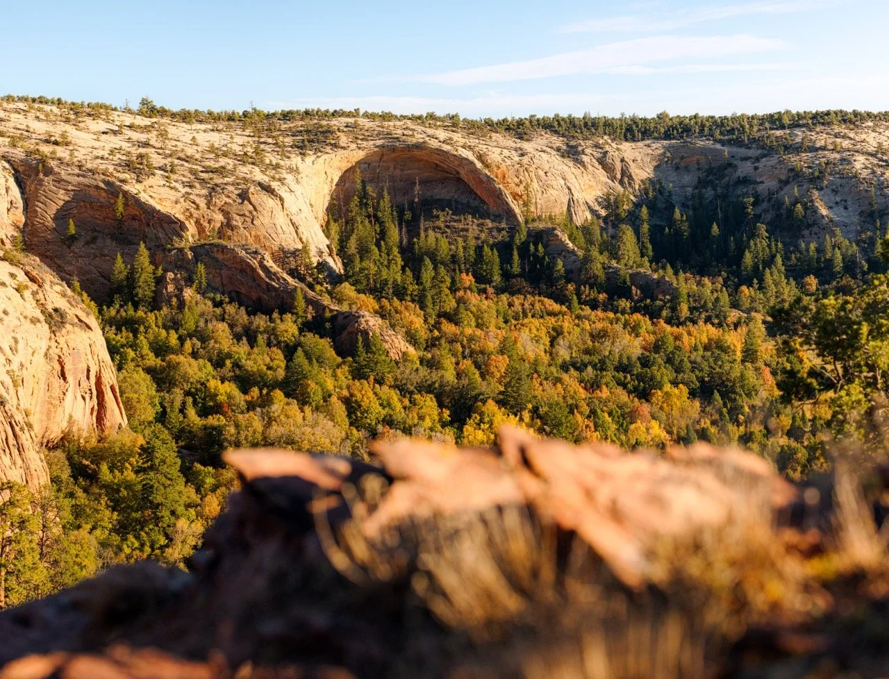 Hunter Utah-89 Large.jpeg