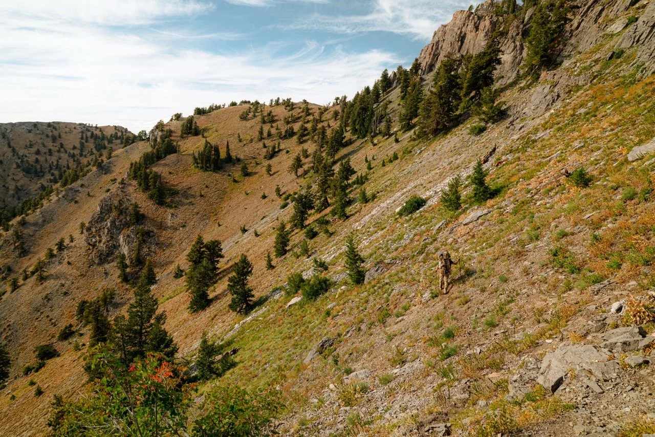 Utah archery-135 Large.jpeg