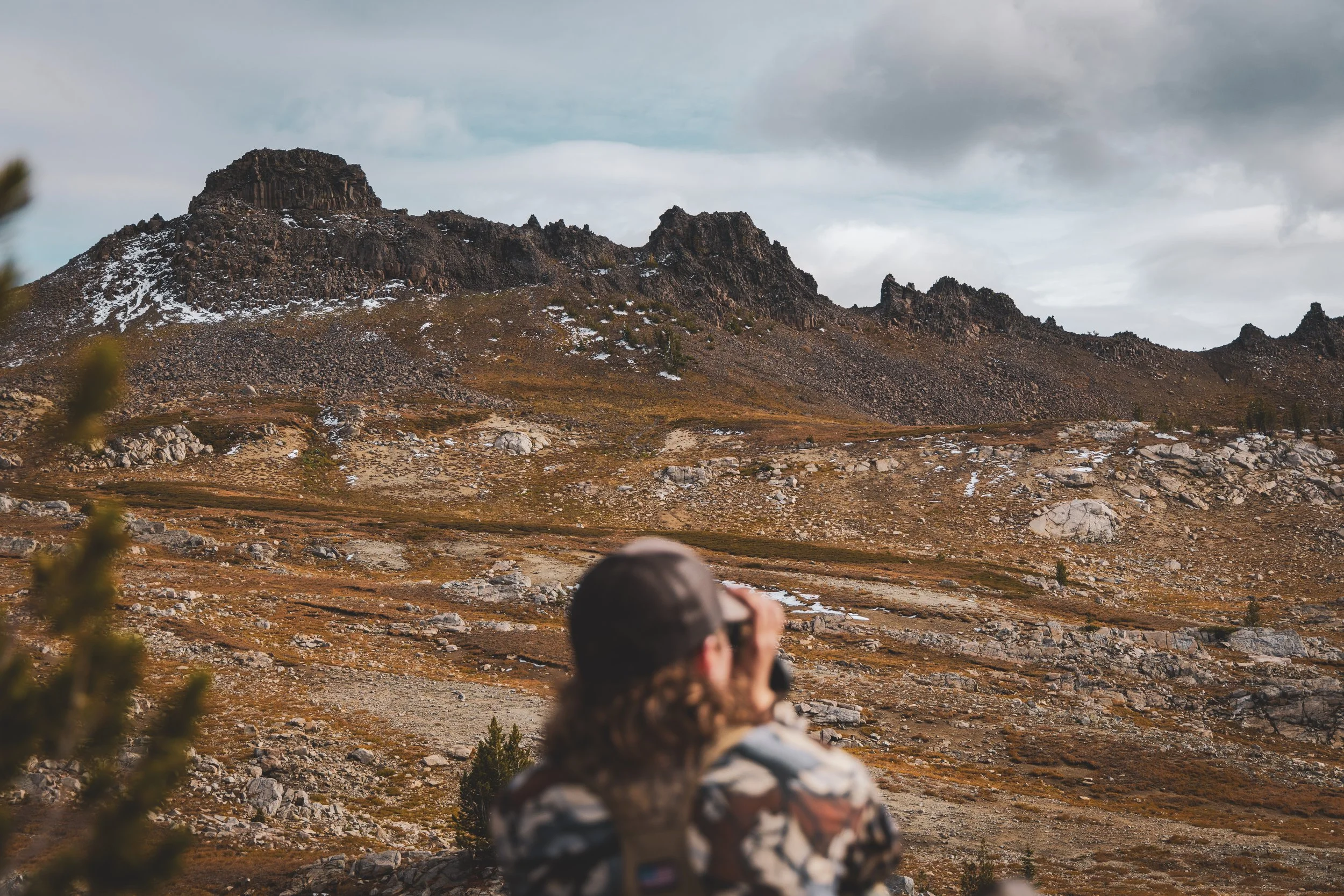 MTN Goat edited-4348.jpeg