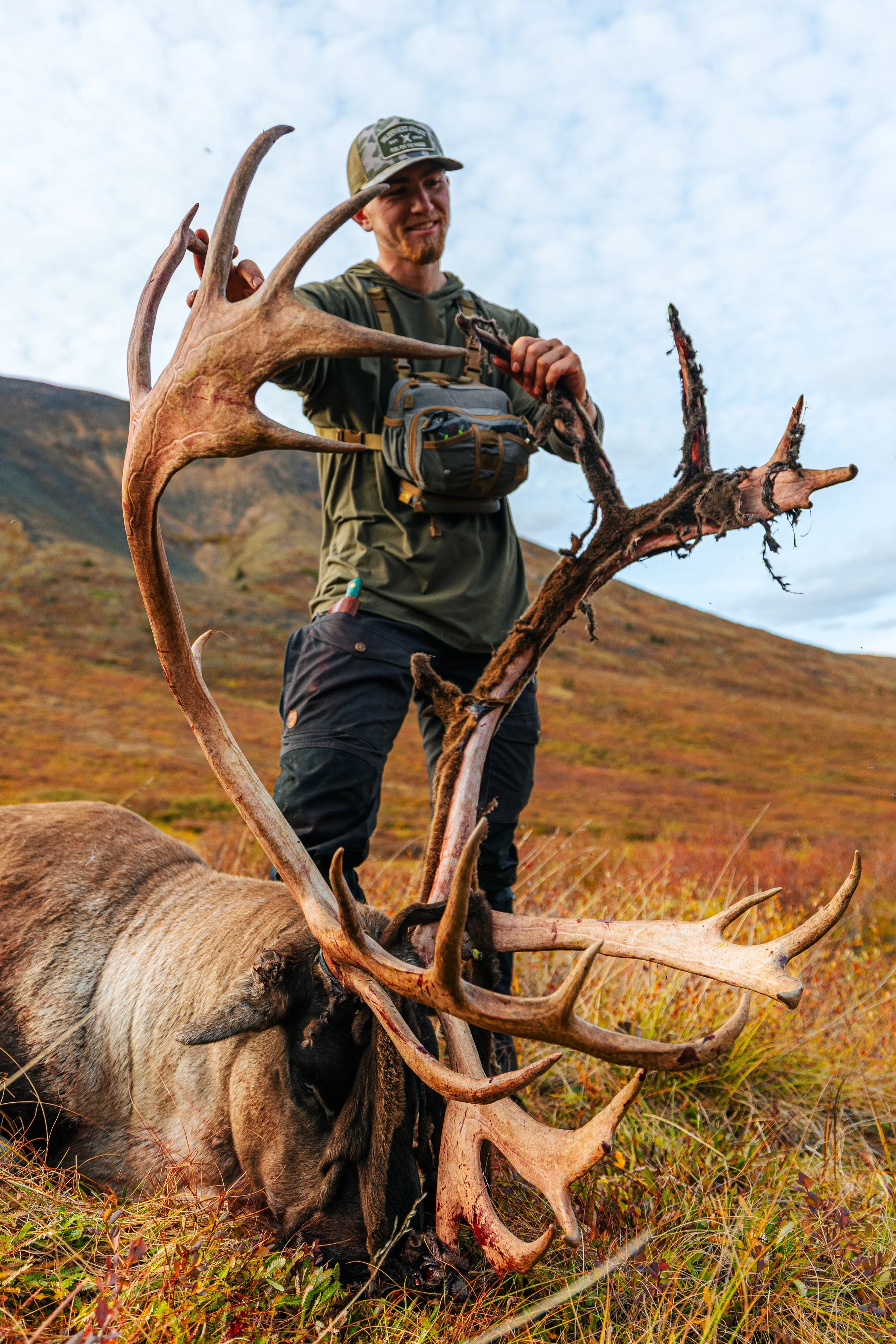 Alaska Caribou-548.jpeg