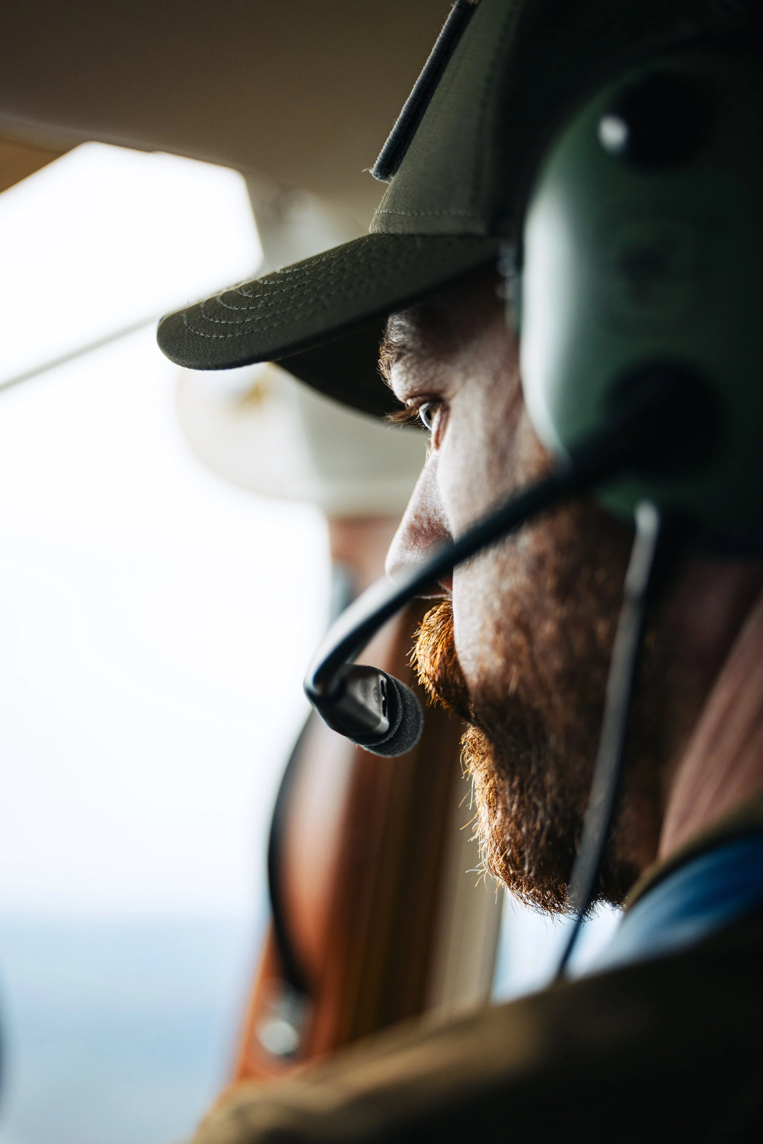 Alaska Caribou-49.jpeg