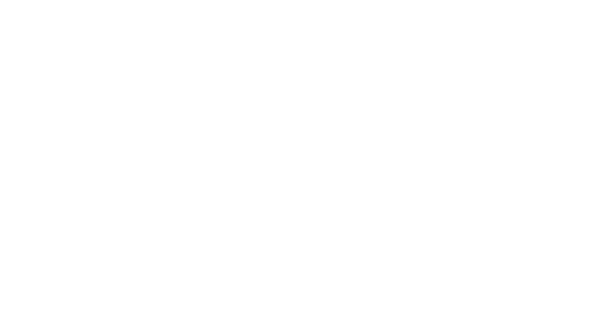 Flexion Consulting