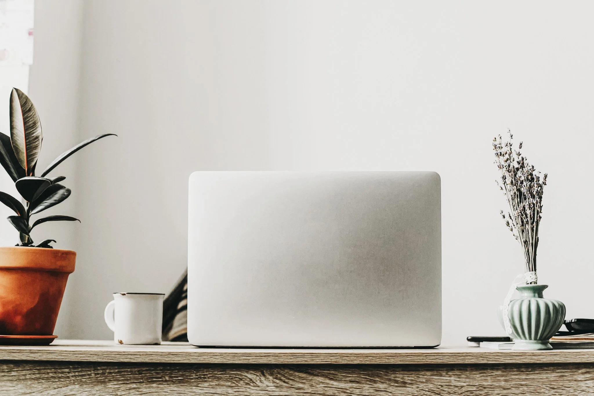 A minimalist workspace with a closed silver laptop on a wooden desk, flanked by potted plants and a small mug.