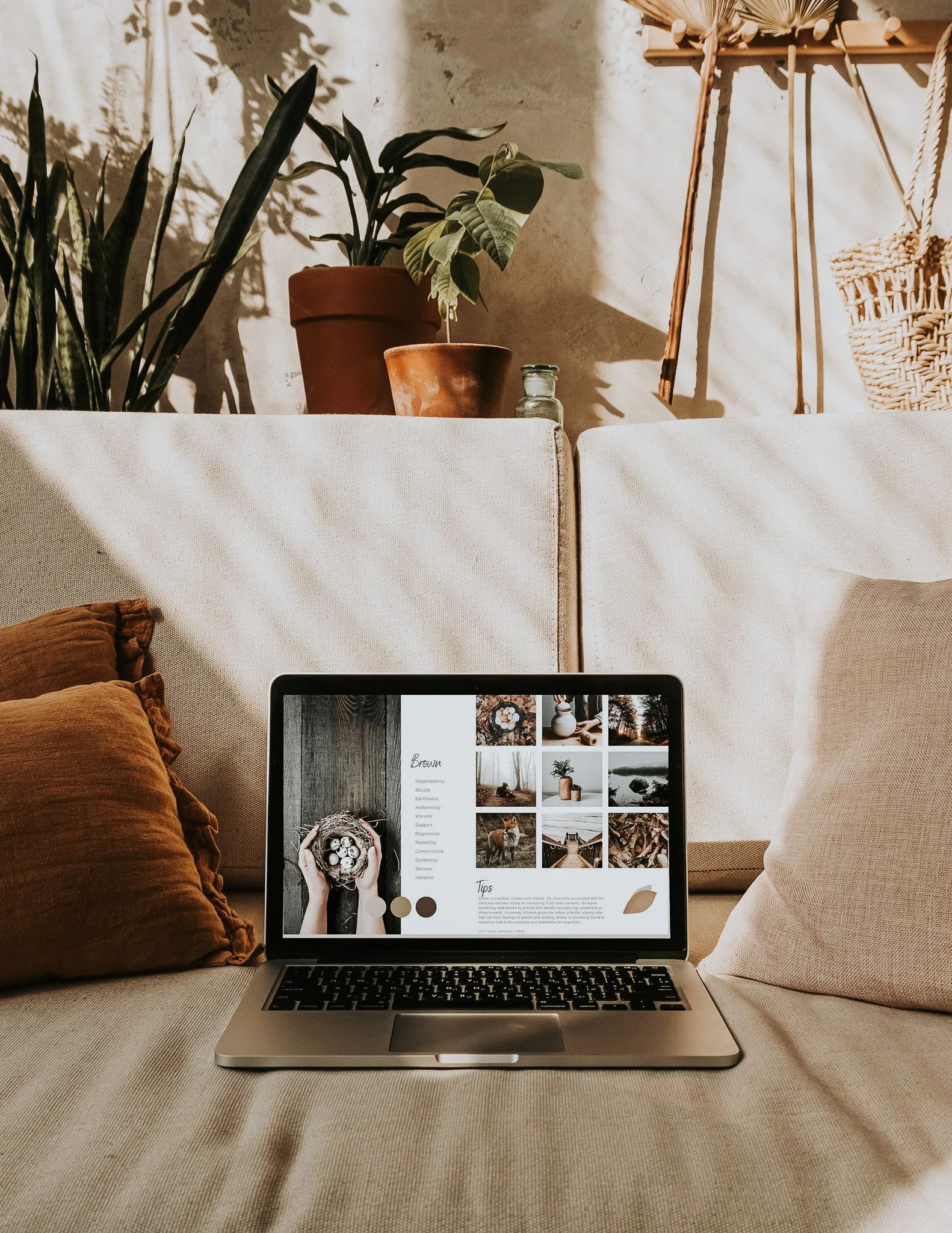 A laptop displaying a website with nature-themed images and text, placed on a beige sofa with brown pillows, with plants and rustic decor in the background.