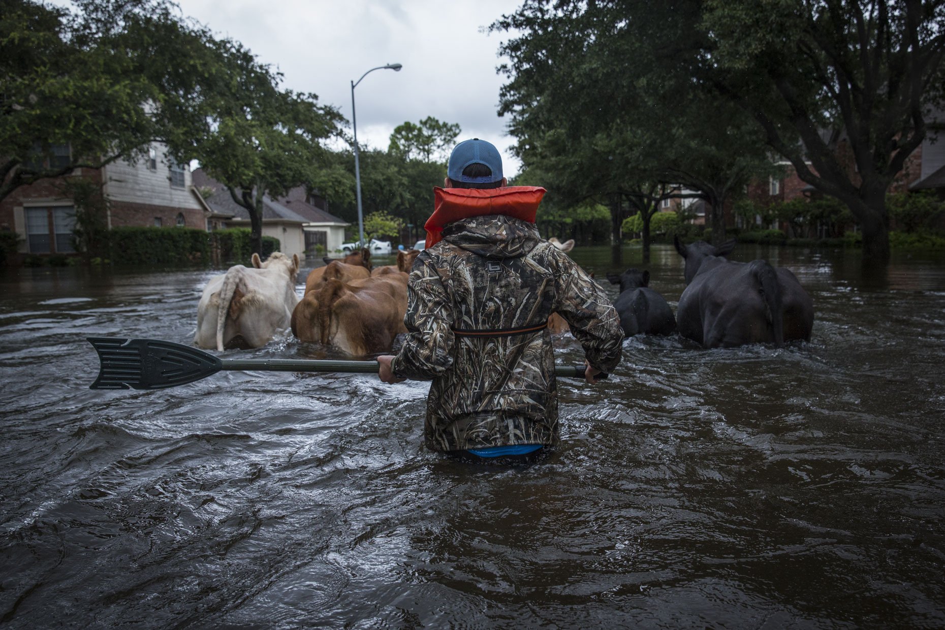 Harvey_006.jpg