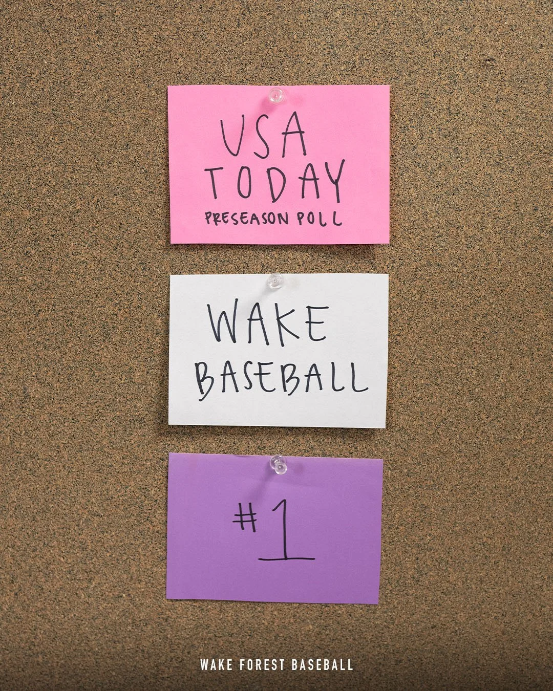 BSB 24 USA TODAY POLL.jpg