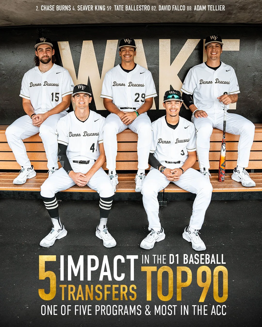 5 IMPACT TRANSFERS  copy.jpg