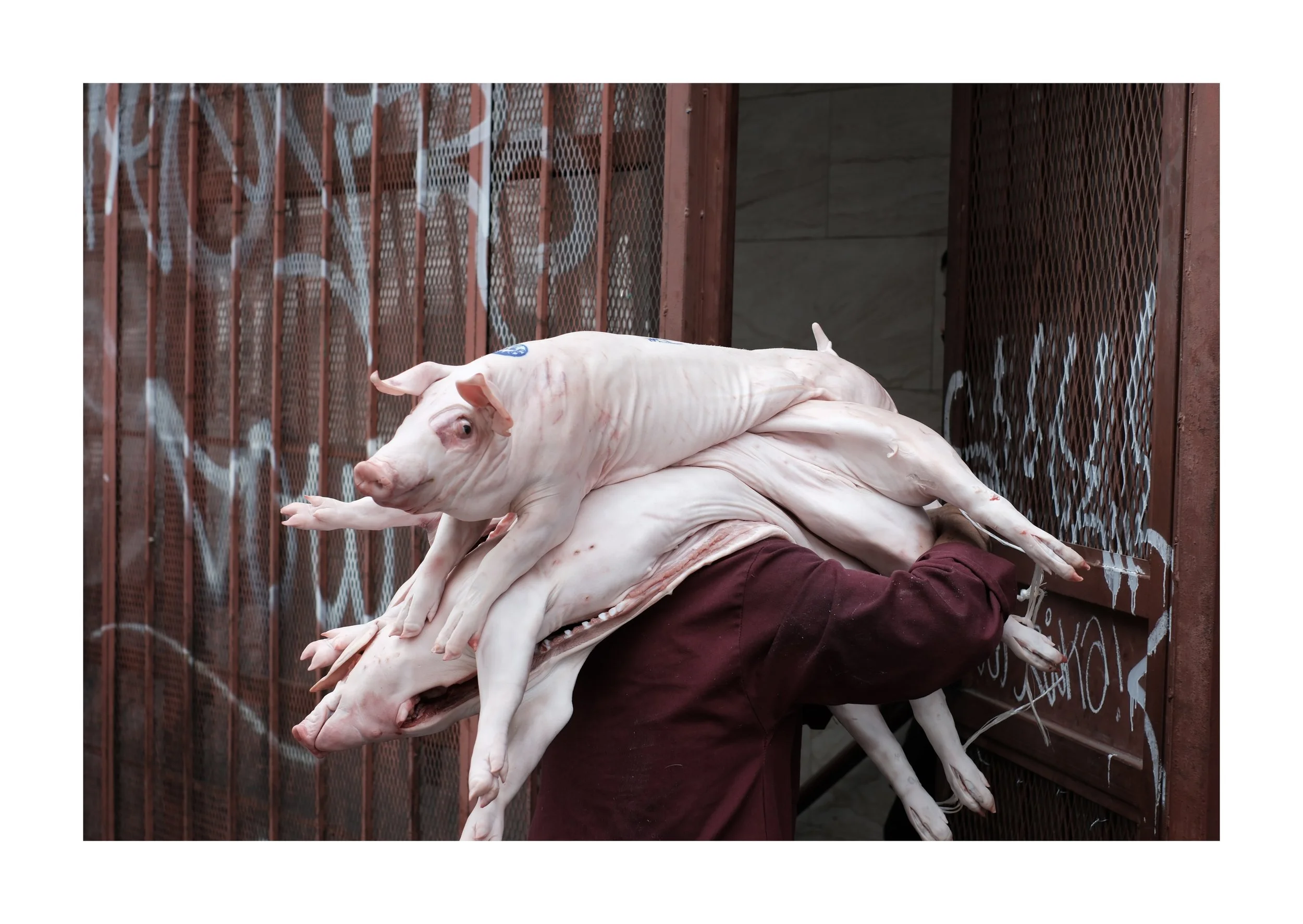 IMG_0243 Edited.jpeg